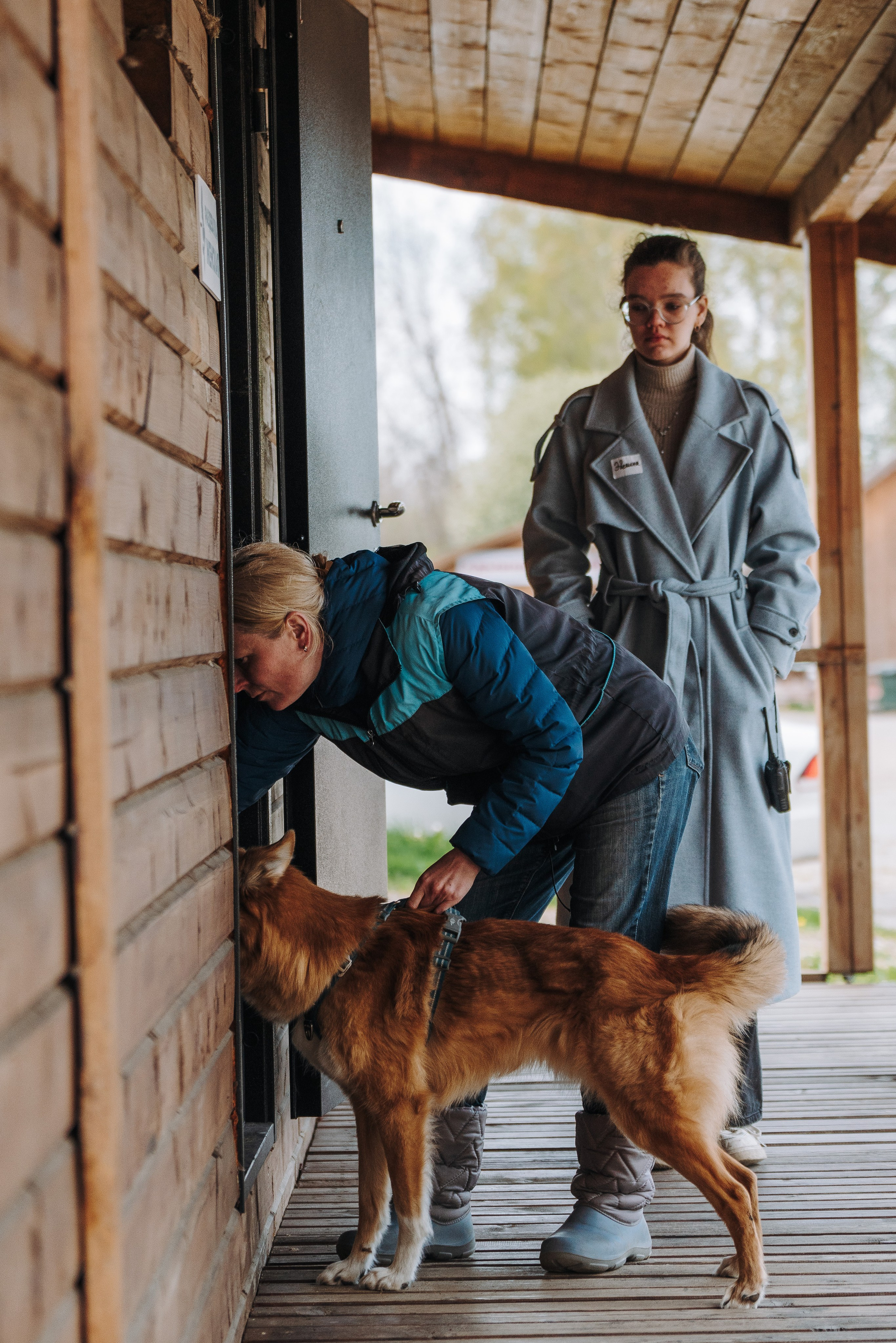 Соревнования по ноузворку в Лосево. Фотограф анималист в Спб недорого Олеся Майорова