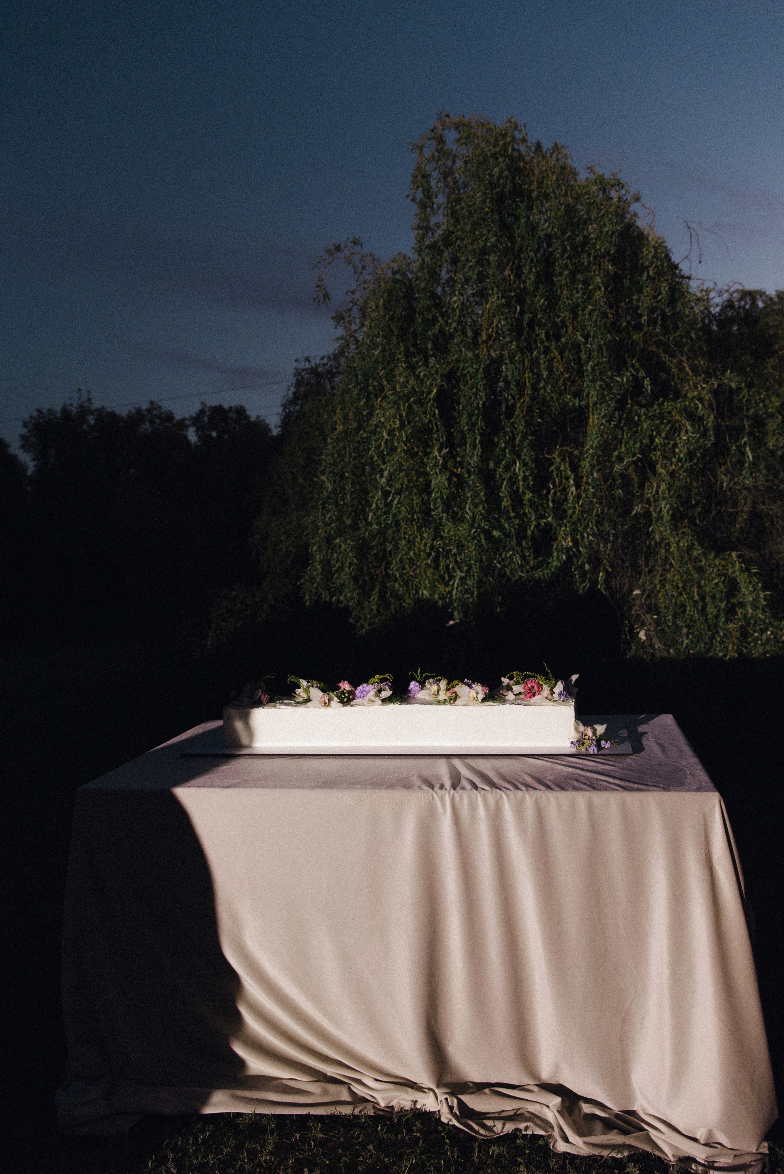 Александр & Полина. Свадебный фотограф Лена Чистопольцева