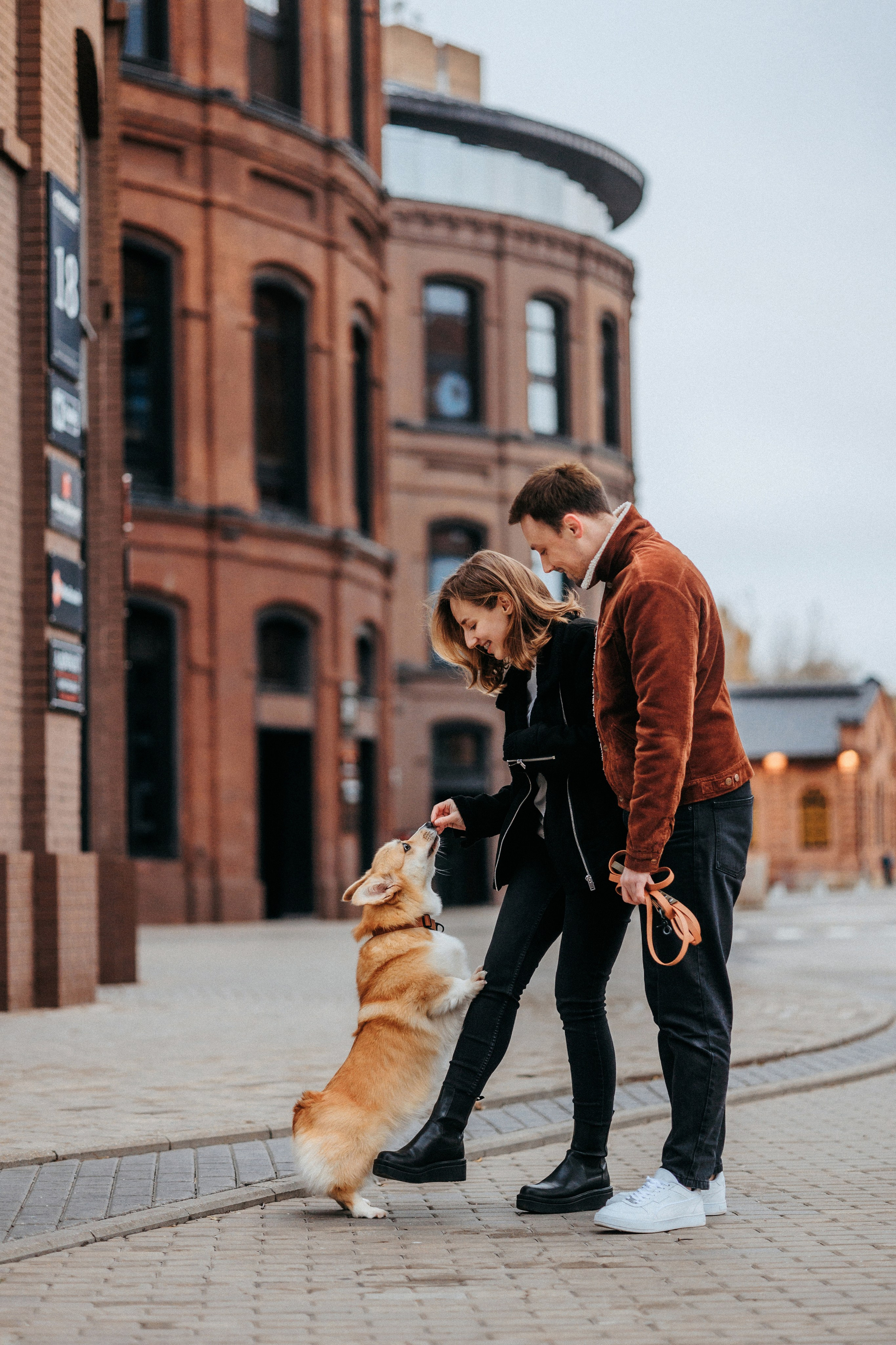 Вера, Саша и Муна. Фотограф-анималист Елена Радченко, Москва