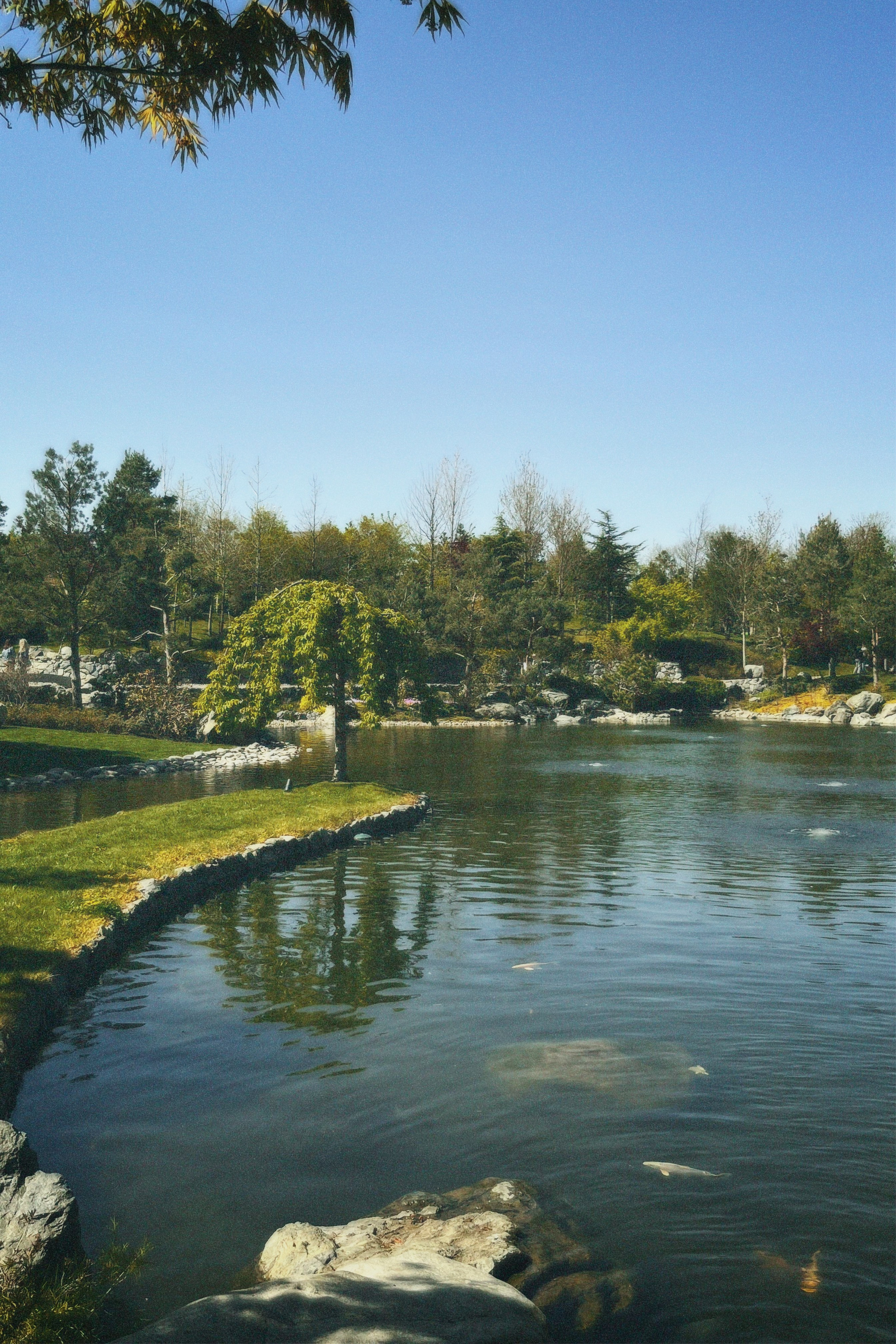 КРАСНОДАР. Портретный и лавстори фотограф в Стерлитамаке Альбина Шарт