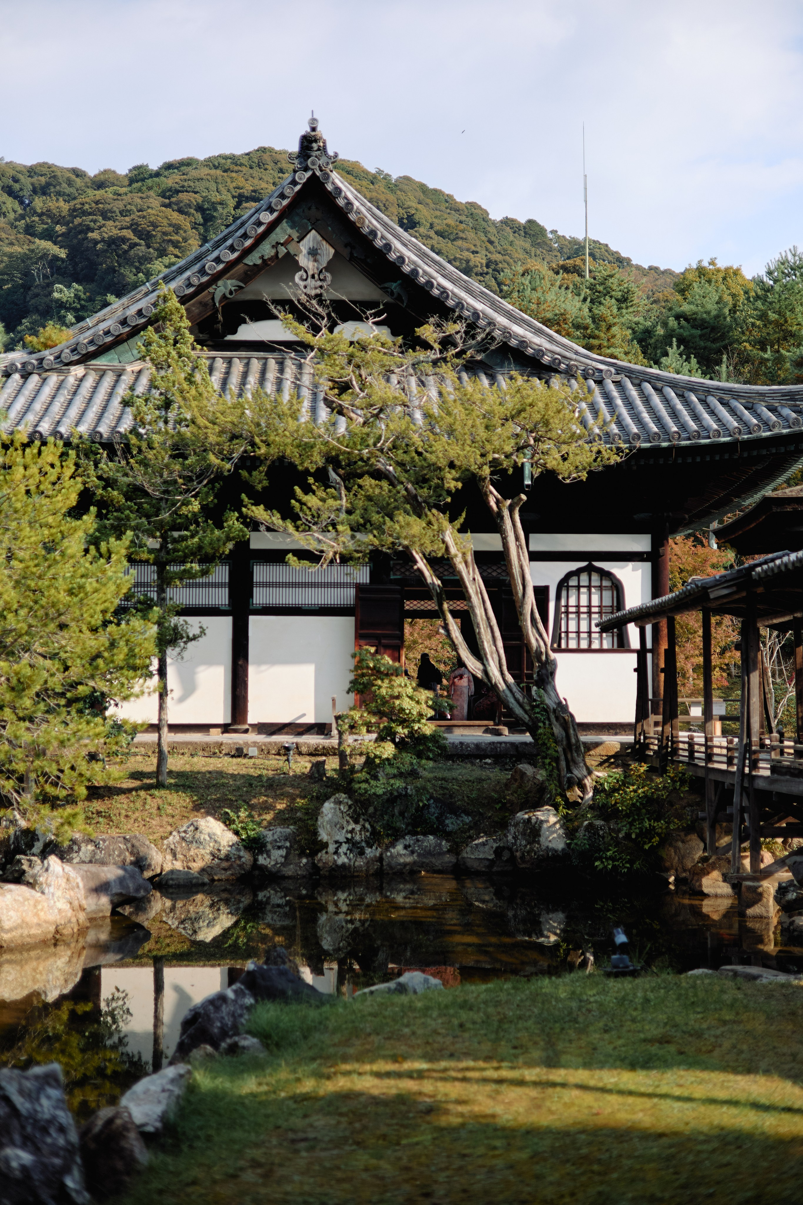 Япония. Профессиональный Фотограф во Владимире, в Москве и в Суздале — Полина Романычева
