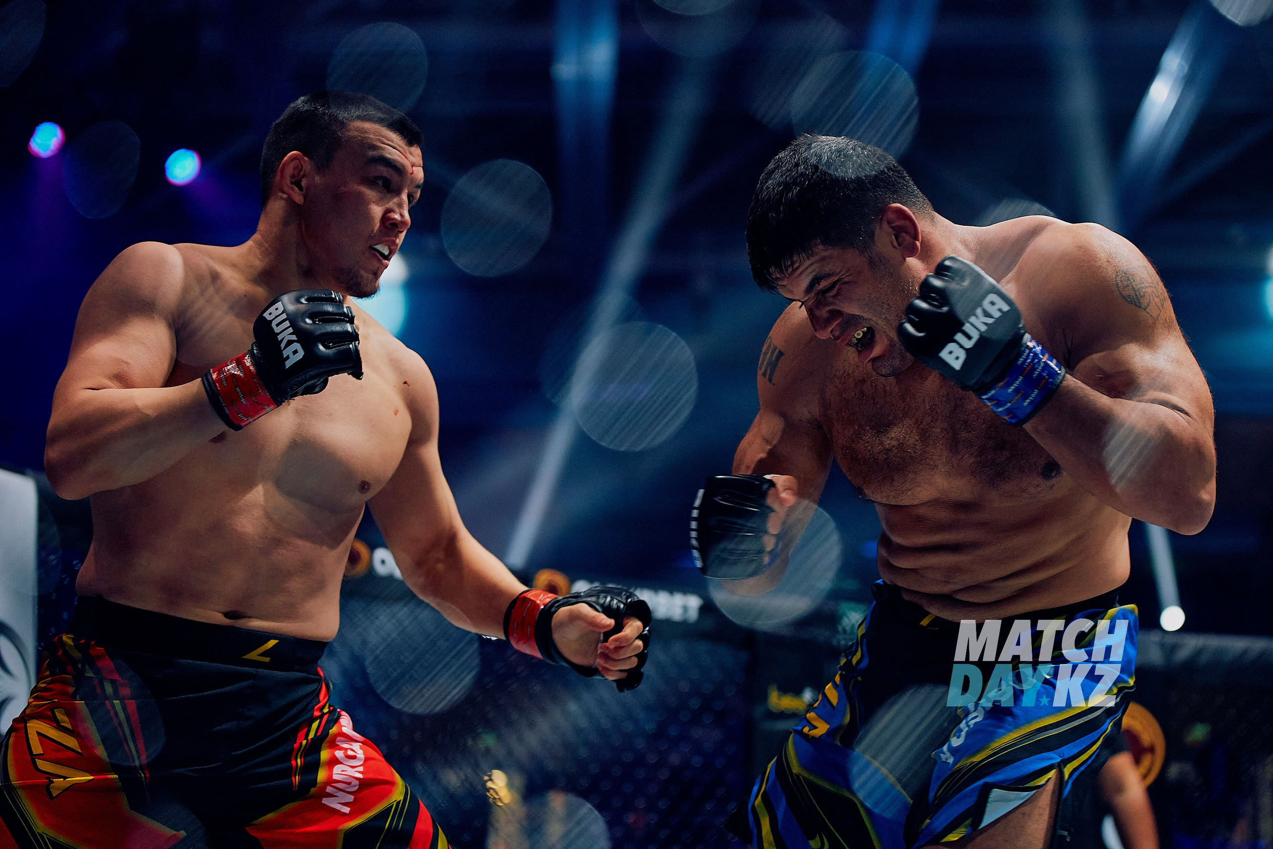 Naiza MMA (Astana) 6 December 2023. Professional photo & Event agency (Kazakhstan, Astana)