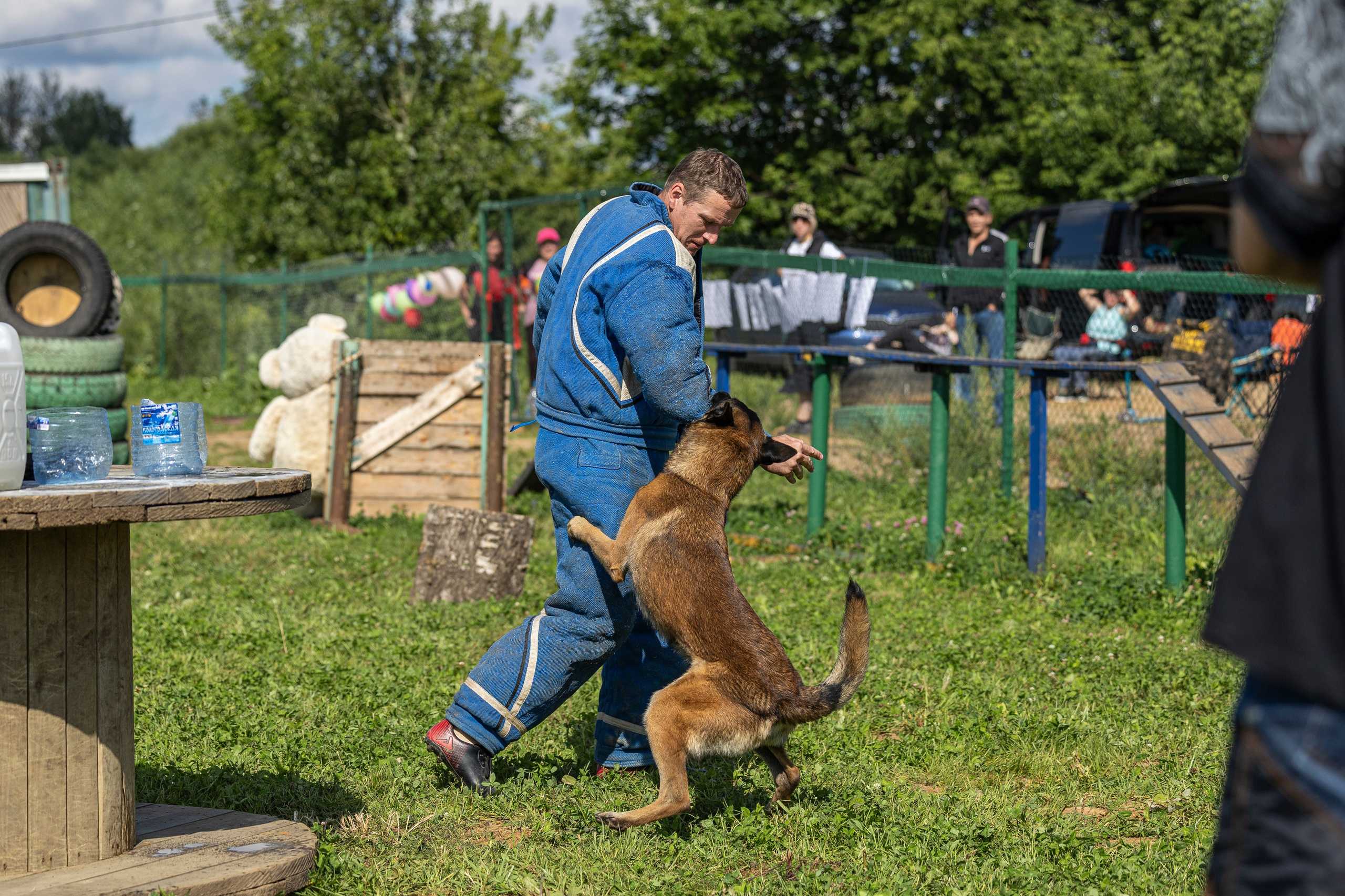 Соревнования по Мондьорингу г. Вологда 10-11.08.2024. Фотограф-анималист Анна Маринич