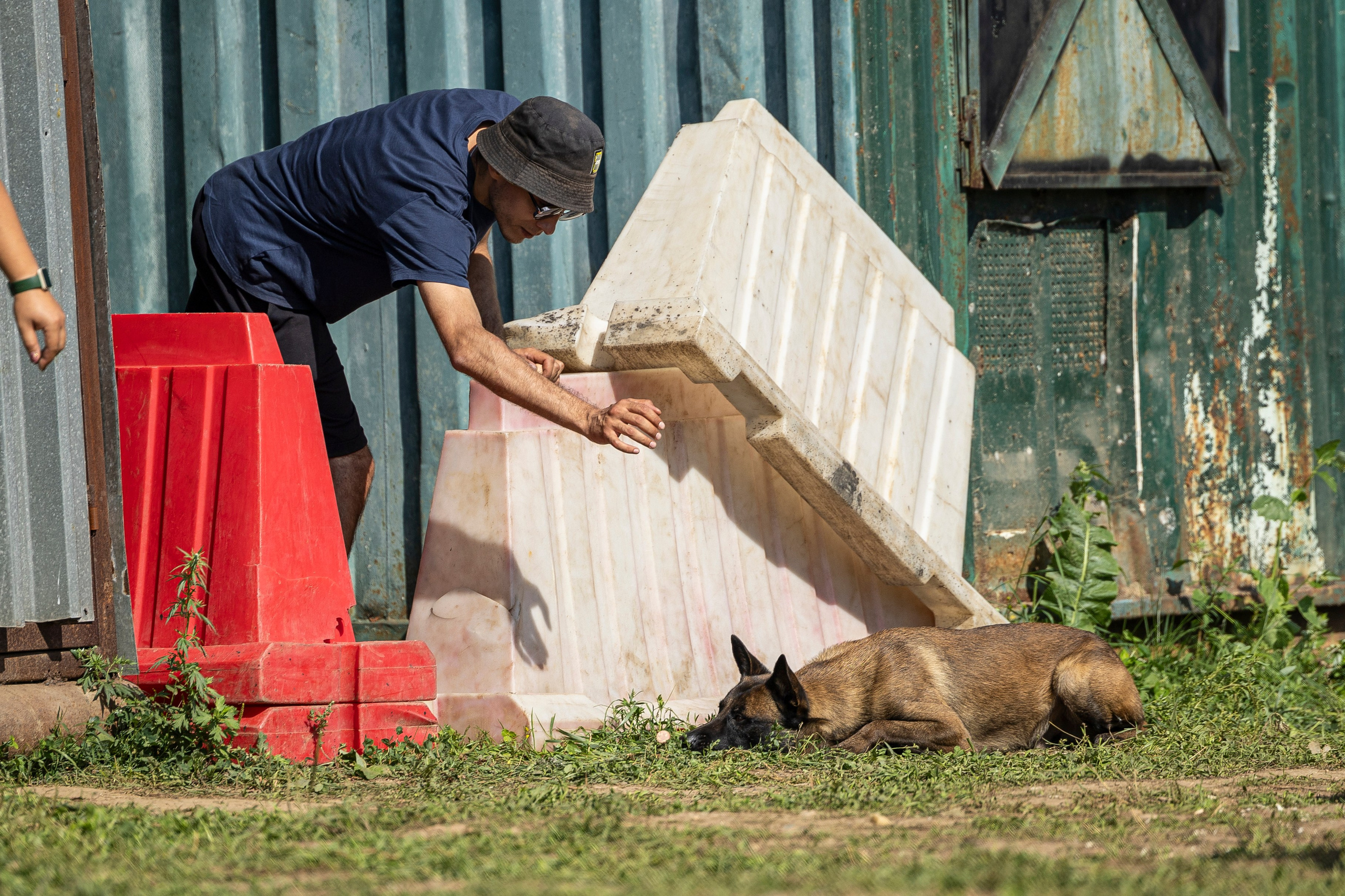Соревнования по Мондьорингу г. Вологда 10-11.08.2024. Фотограф-анималист Анна Маринич