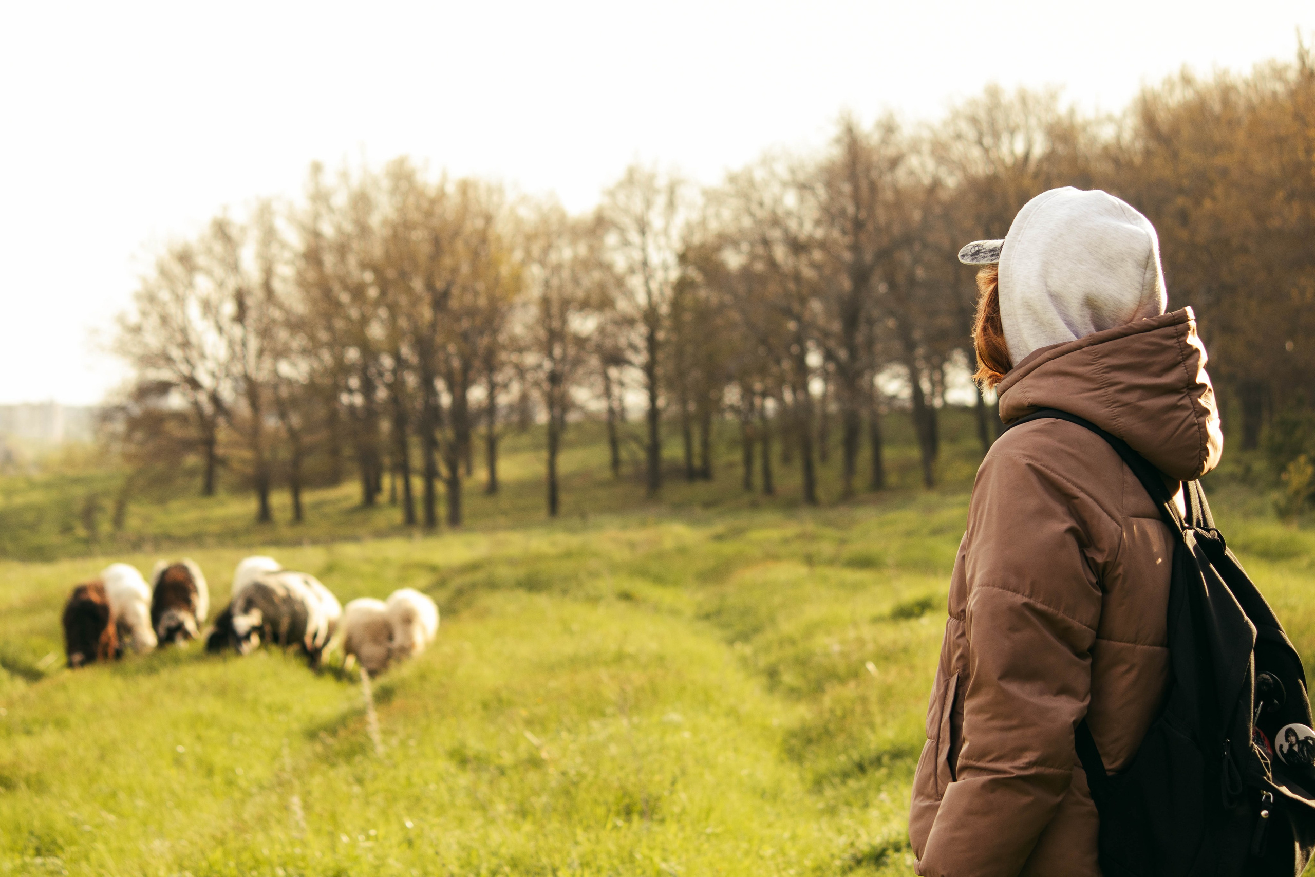Сокольская гора. Фотограф и видеограф в Бугульме Аня Трутнева