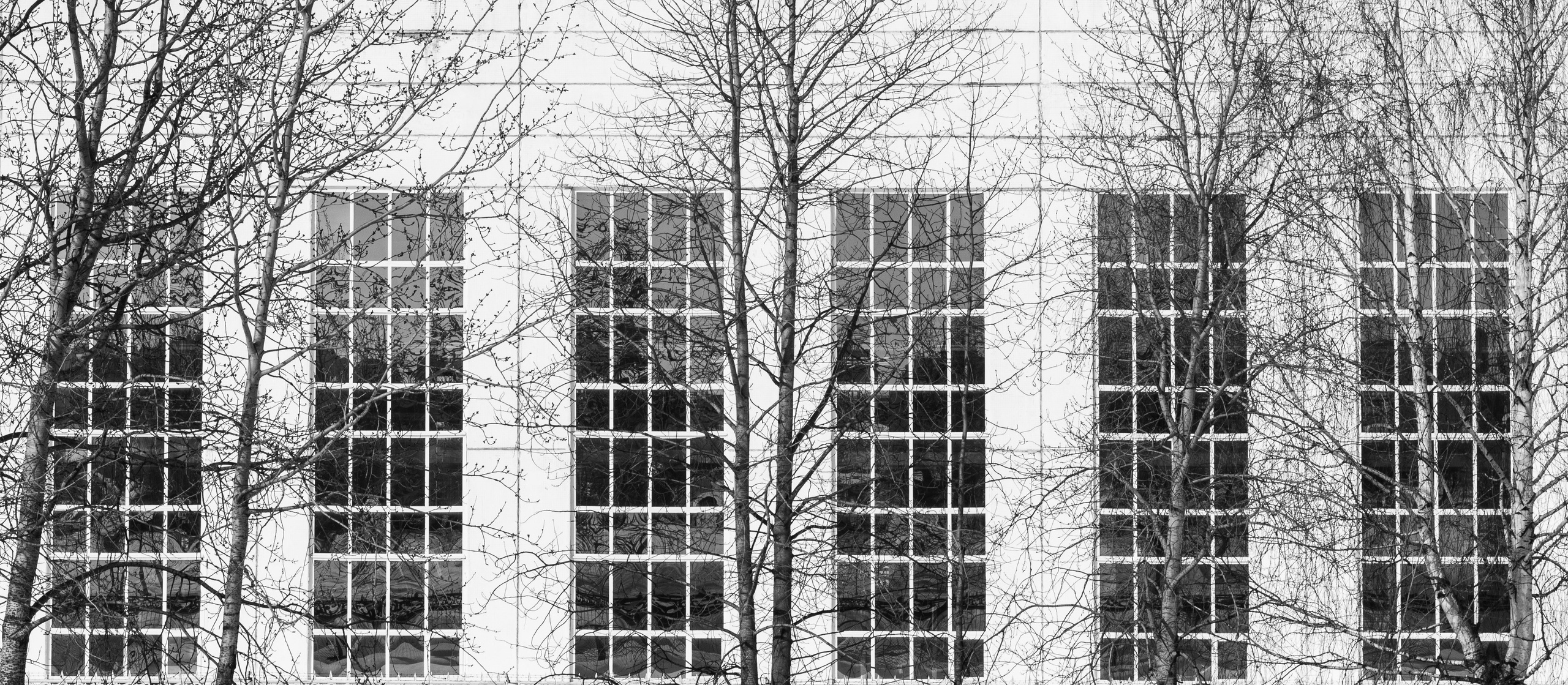 Родные узоры. Россия. Олег Романов. Мастер фото по спорту