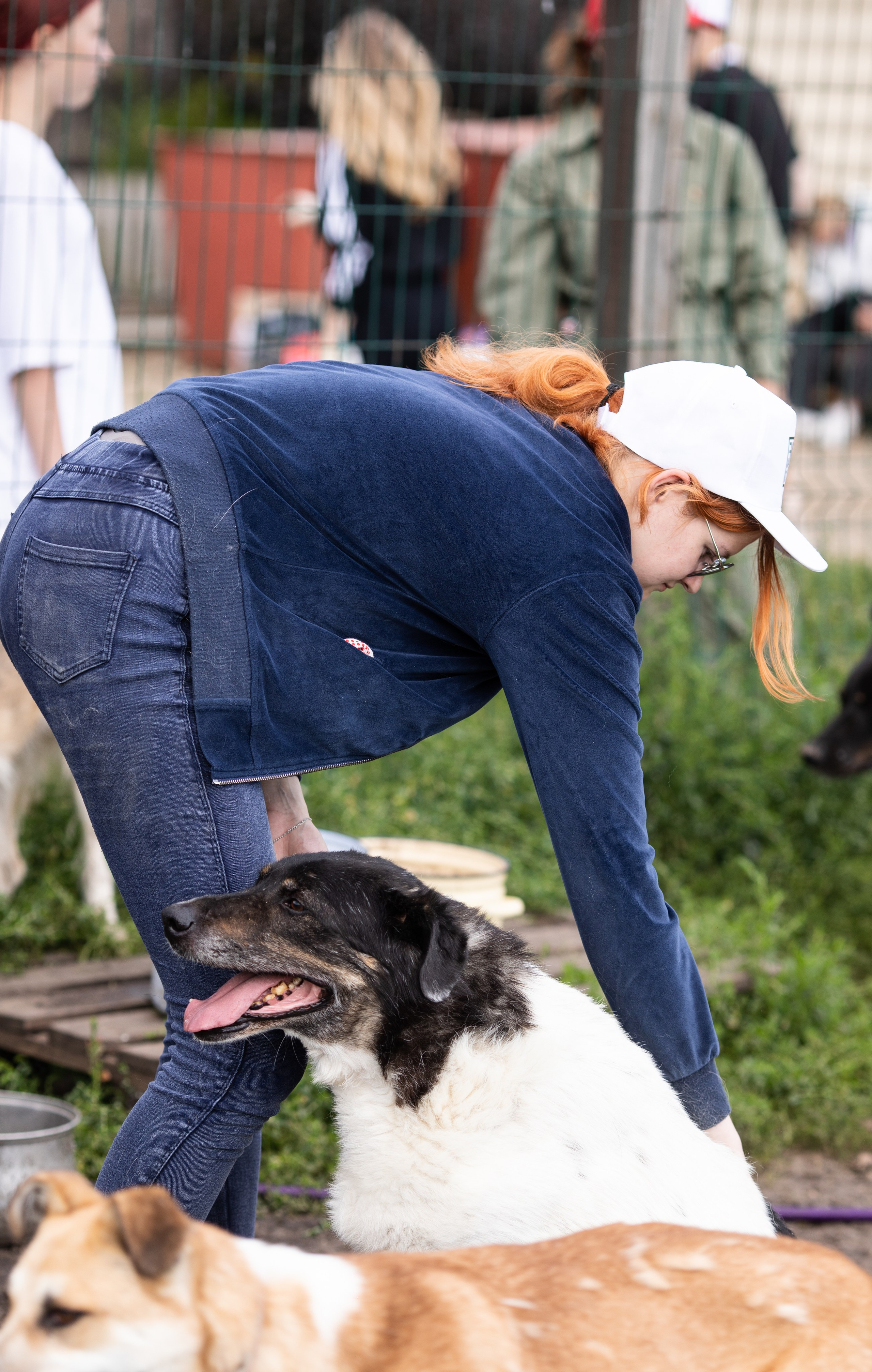 Приют — Наш дом. Репортажный и свадебный фотограф в Челябинске Елисеев Павел