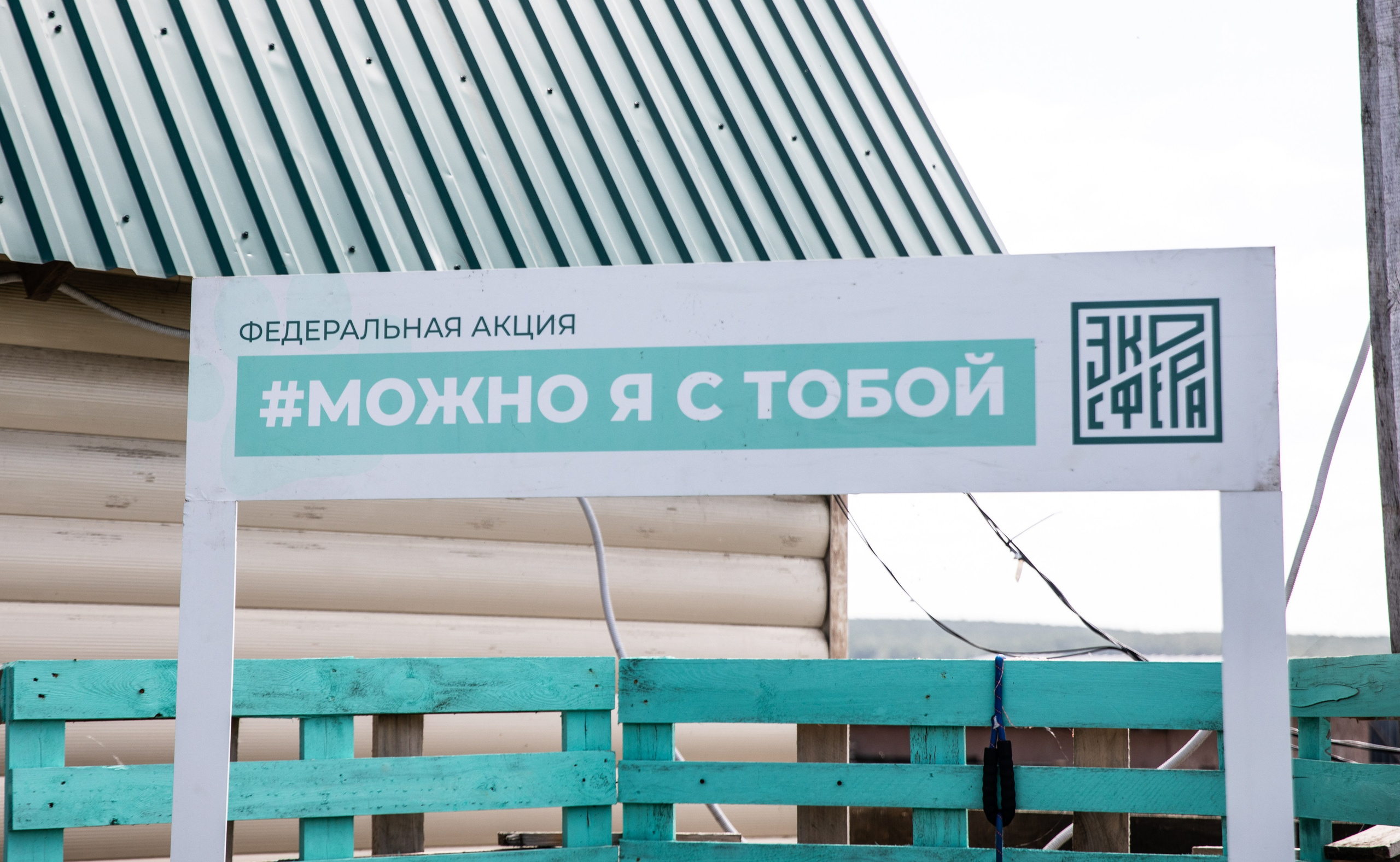 Приют — Наш дом. Репортажный и свадебный фотограф в Челябинске Елисеев Павел