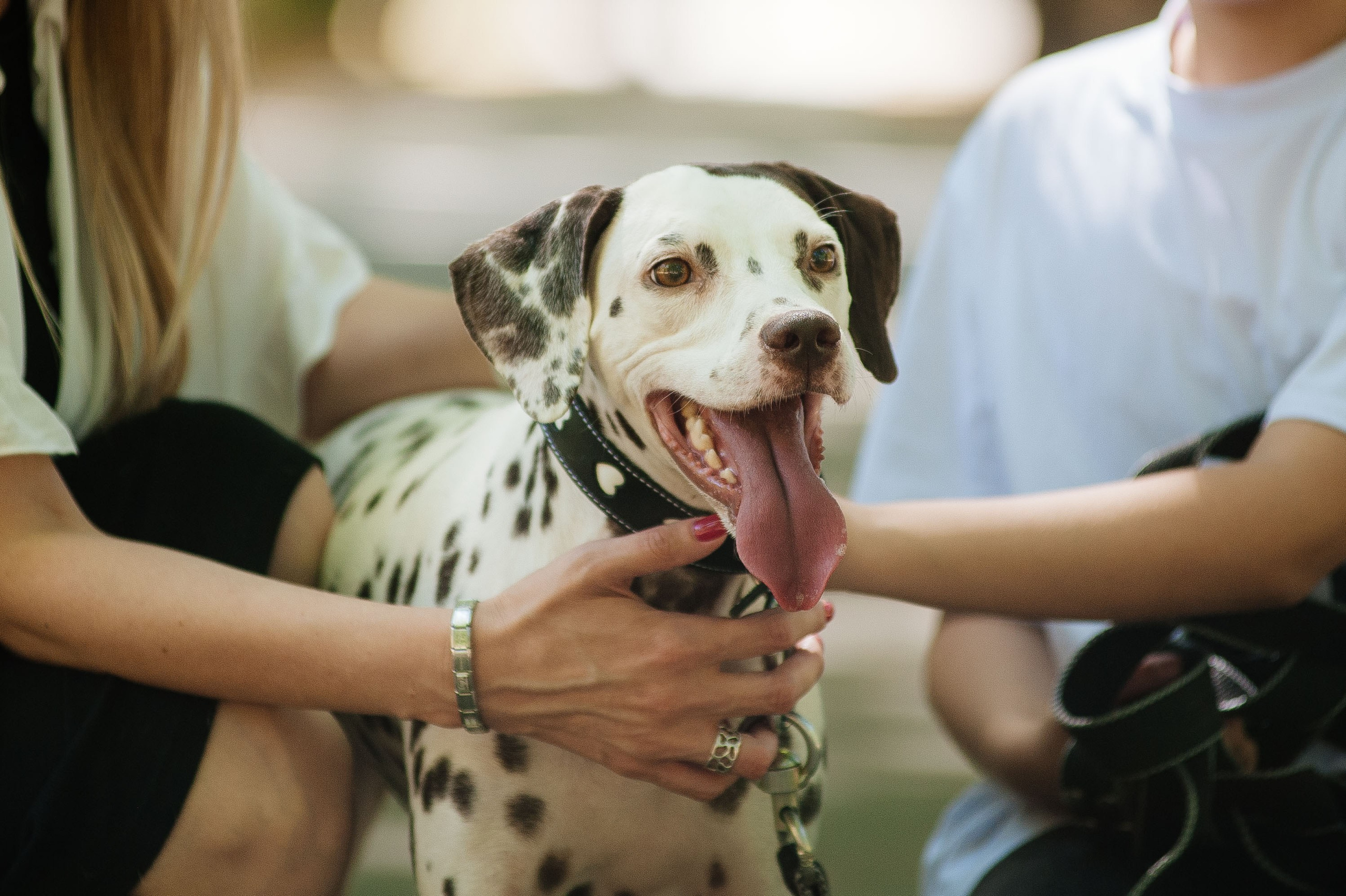 Семья Тимофеевых. Фотограф на Таинство Венчания и Крещения в Краснодаре Абрамова Людмила