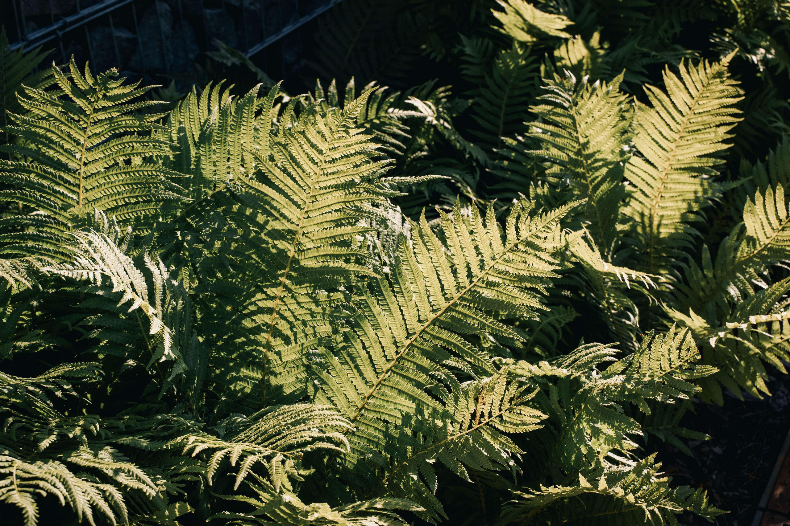 Места для съёмок. Фотограф Александр Решня