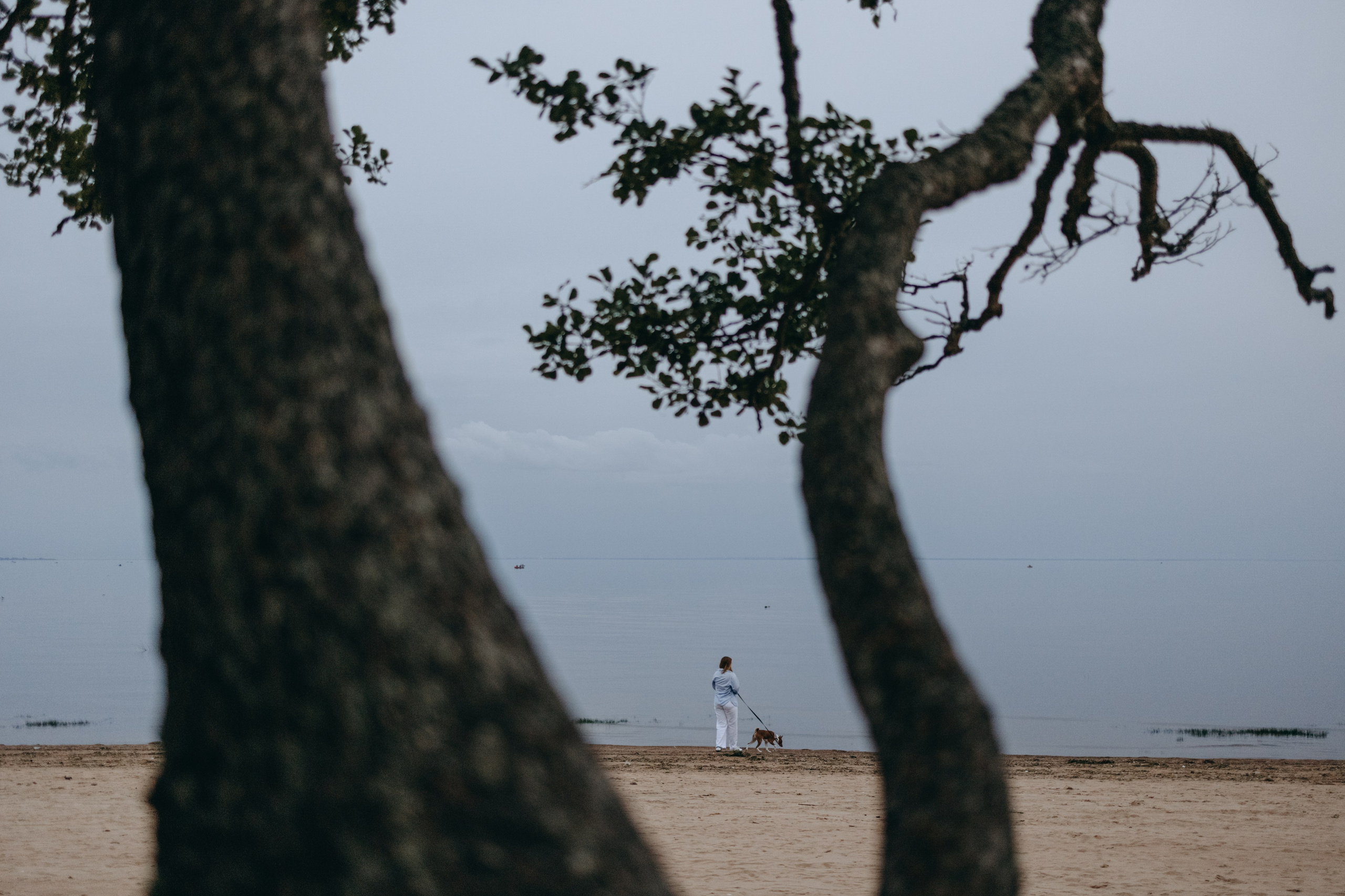 Даша и Арчи. Фотограф — Анималист | Санкт-Петербург