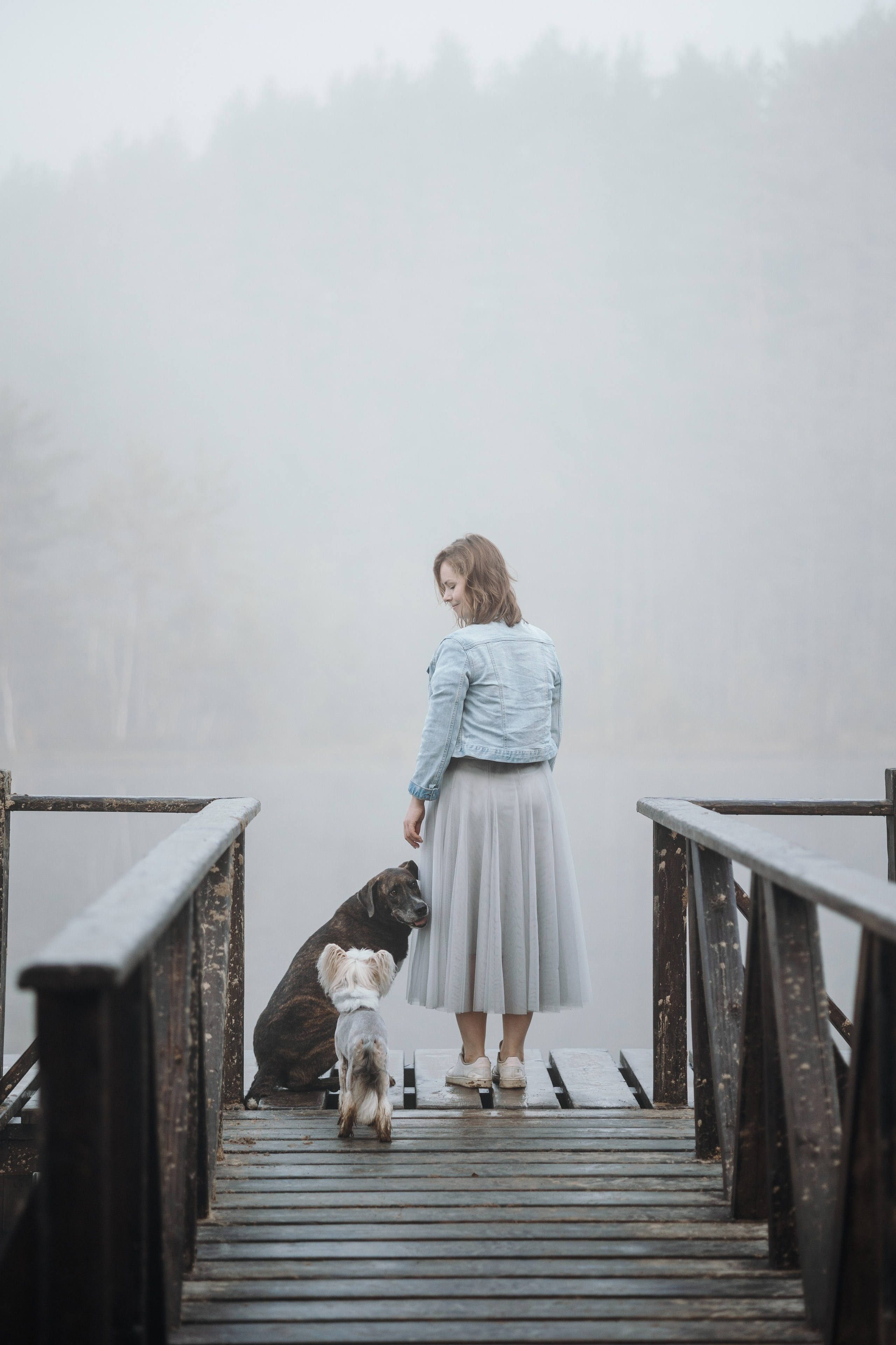 Любовь и ее хвостики. Фотограф — Анималист | Санкт-Петербург
