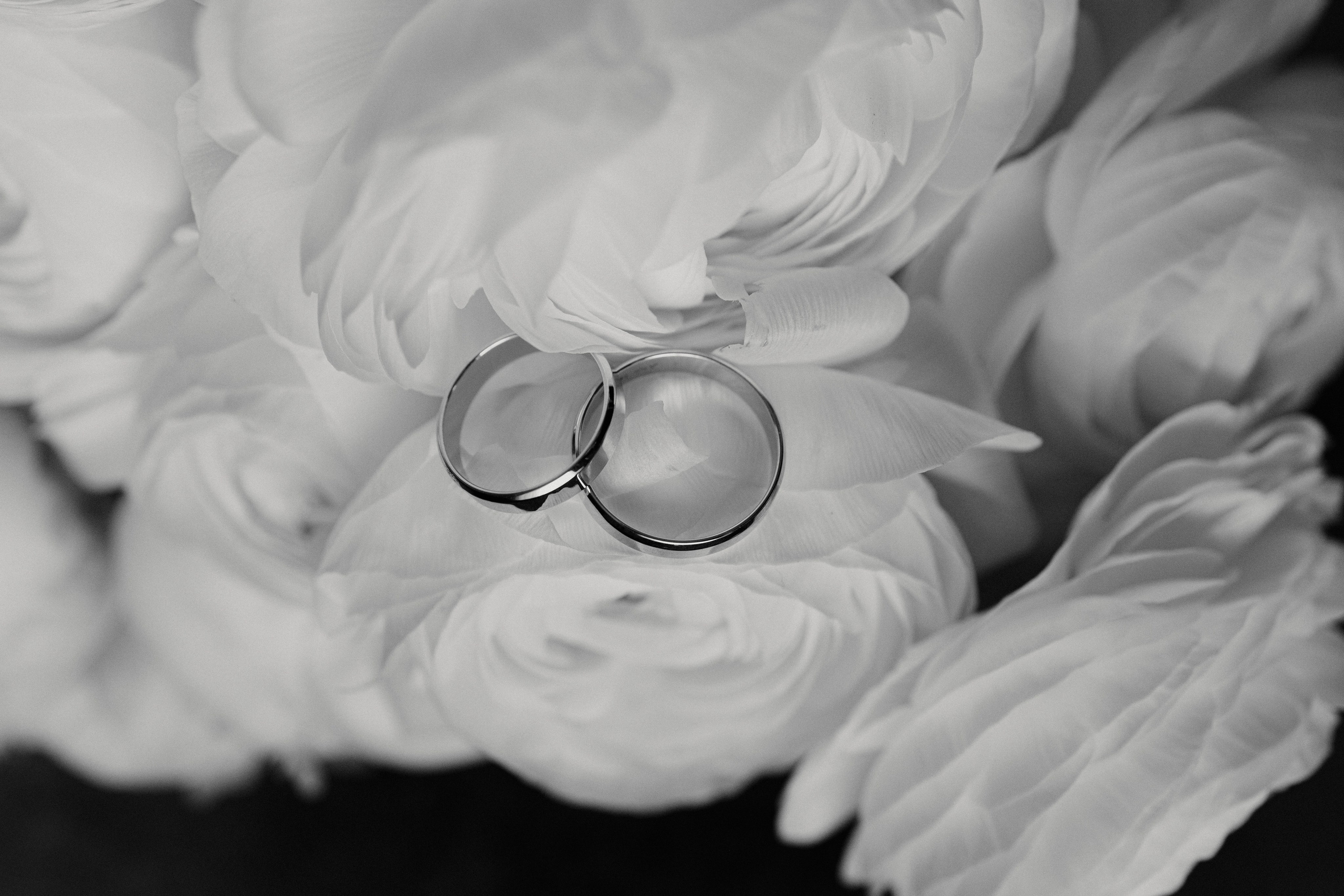 Свадебный фотограф Москва, свадебная фотосессия Москва, свадебная фотосъемка Москва. Фотограф на свадьбу в Москве. Фотограф в Москве Валерия Рожкова