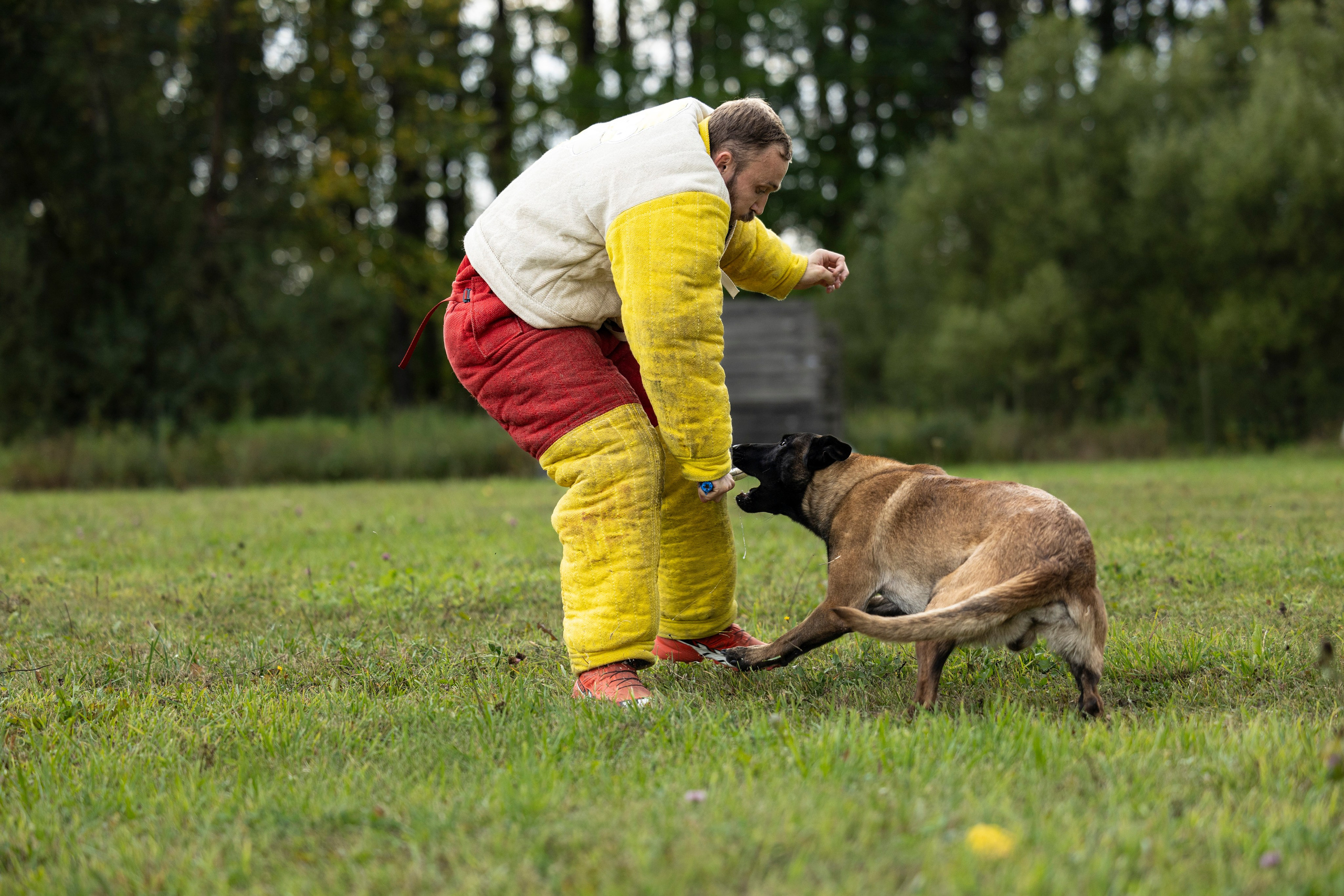 Испытания по Мондьорингу г. Пушкин. Фотограф-анималист Анна Маринич