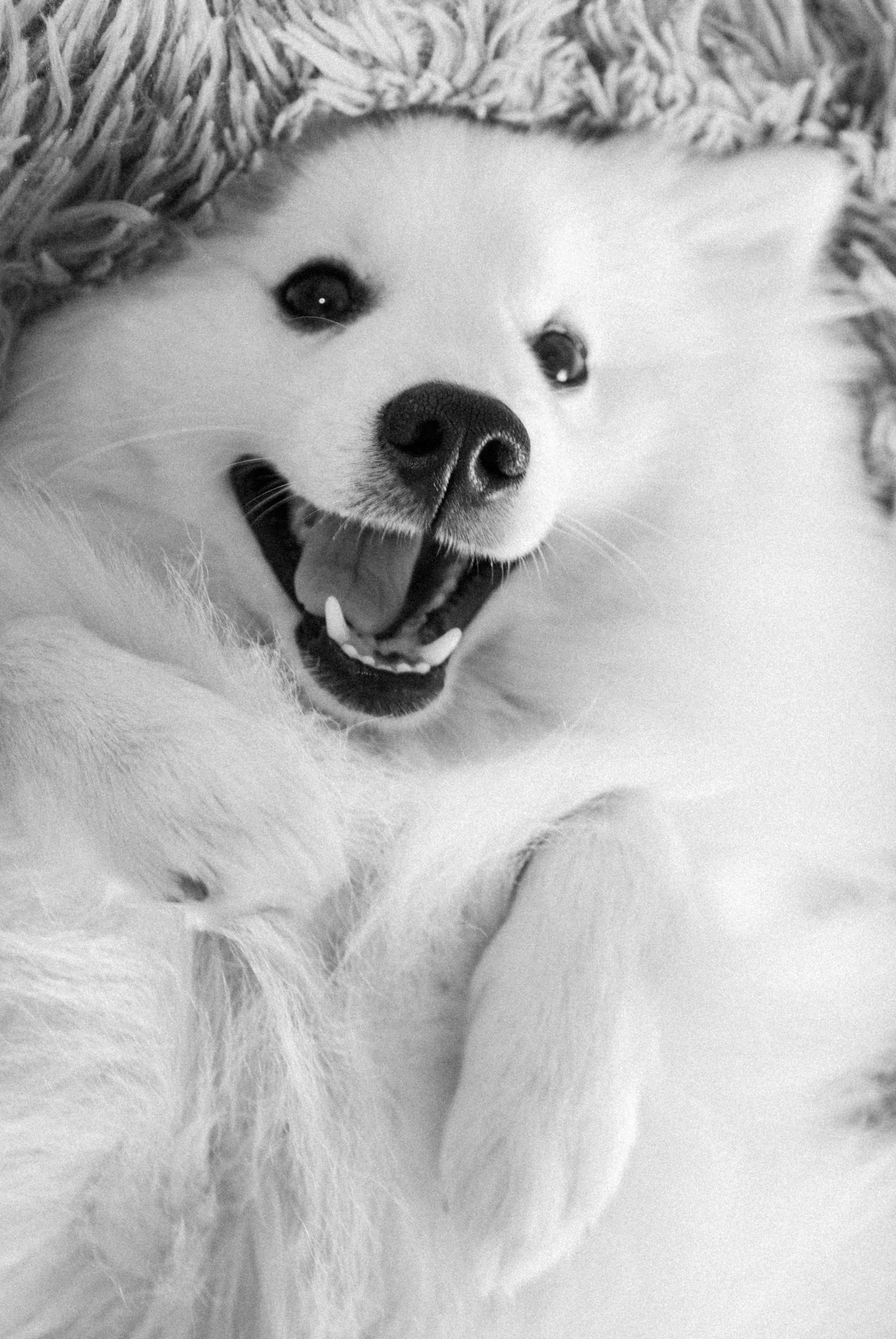 Зоопарк в моём багаже. Кошенкова Мария: портретный и репортажный фотограф. Санкт-Петербург