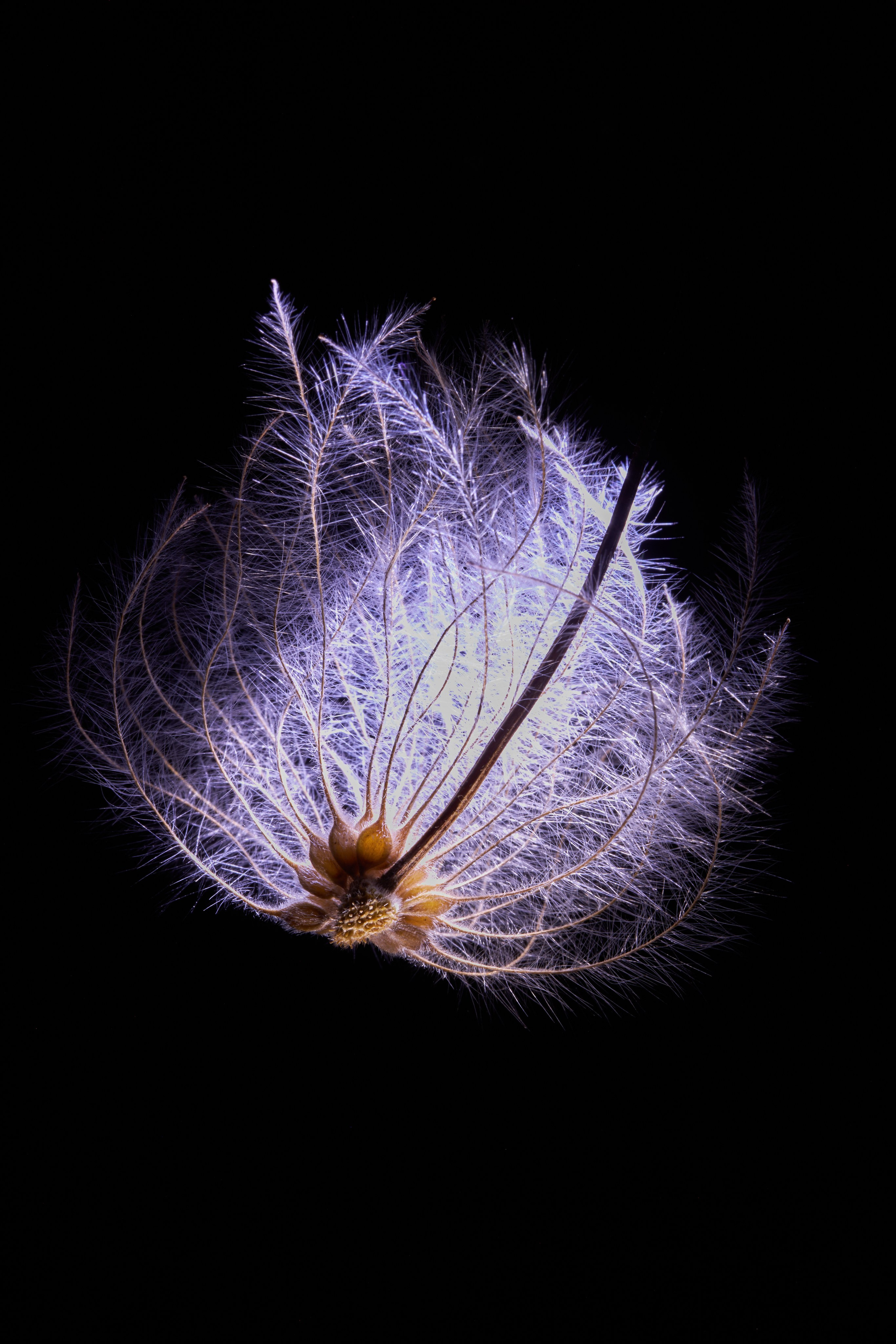 «Красок Тьма Полна». Арт-фотограф во Владивостоке Дмитрий Осипчук