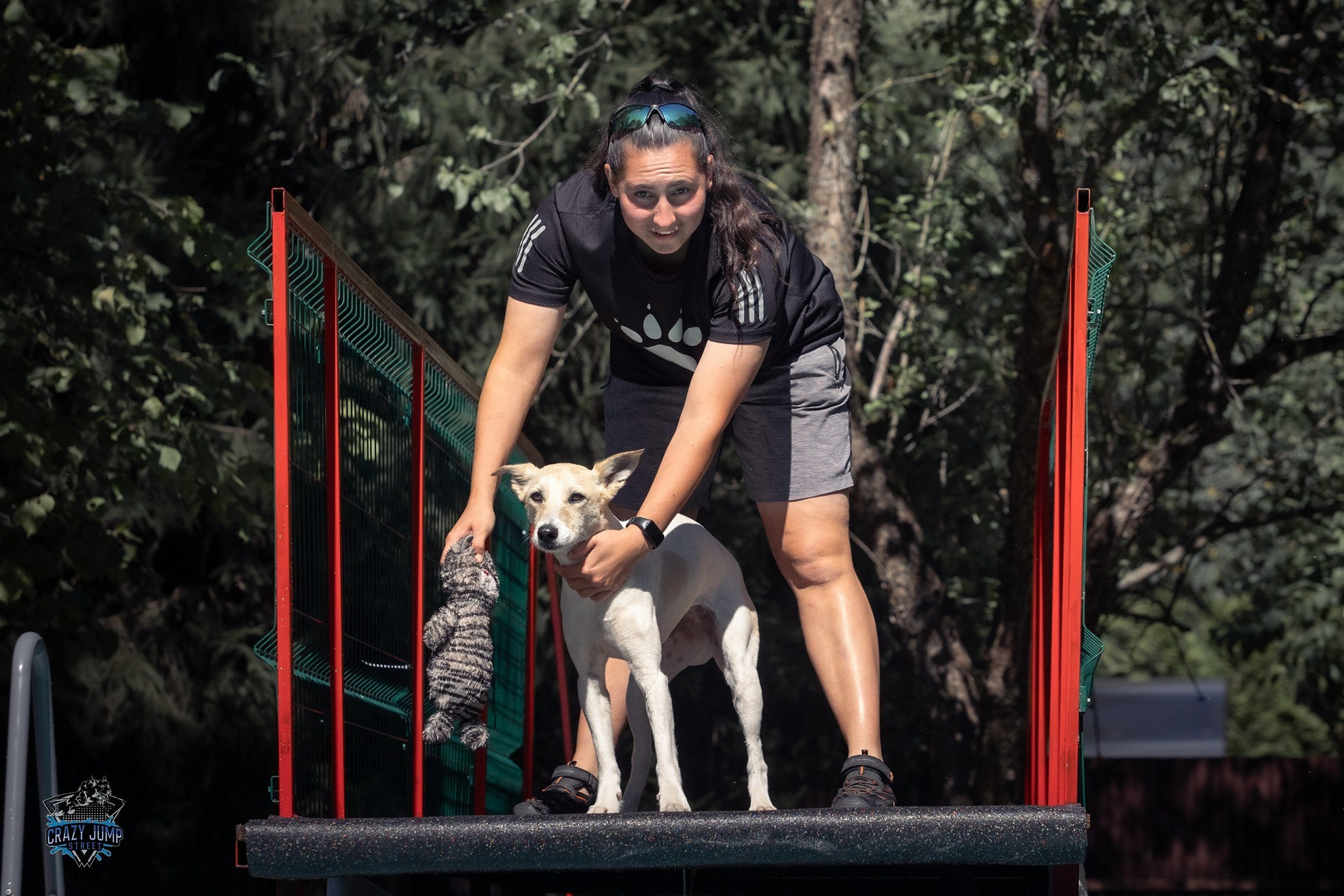 Собаки, спорт, Док дайвинг. Свадебный и репортажный фотограф в Москве и Московской области
