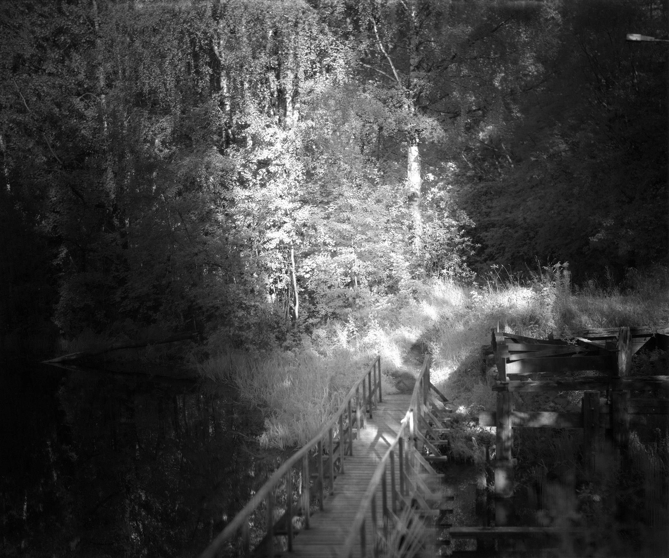 Хроно-камера «Буратино». Roman Hodirev is an esoteriologist, multidisciplinary artist, photographer and musician. Saint Petersburg, Riga