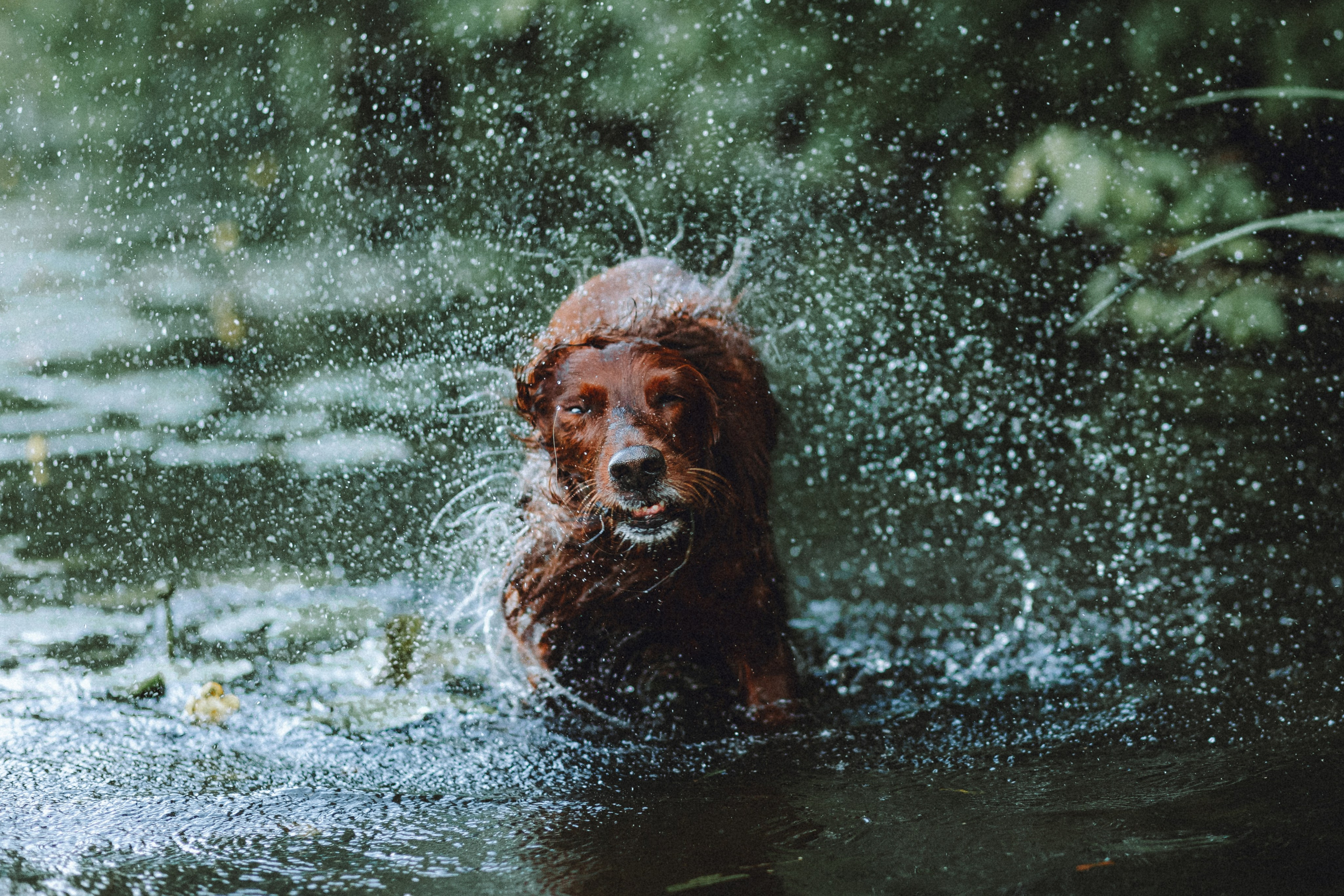 Маша и Джерри