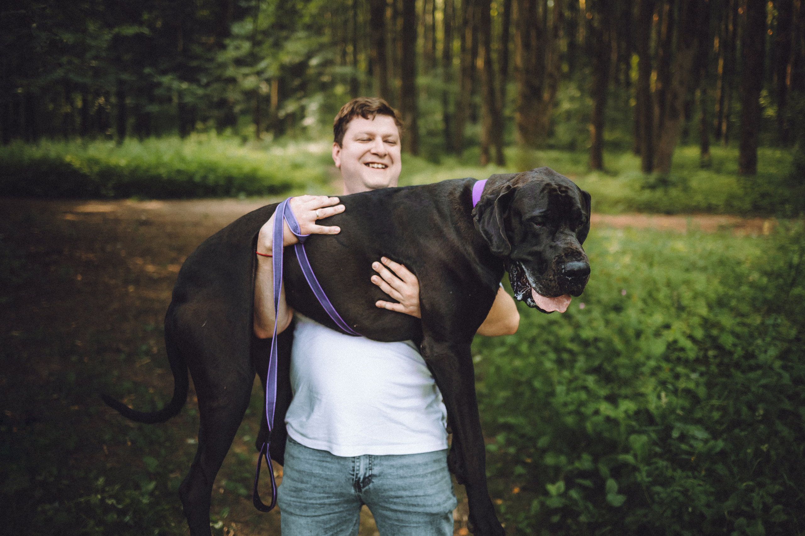 Катя, Андрей, Гектор, Ричи, Тортик и Трой