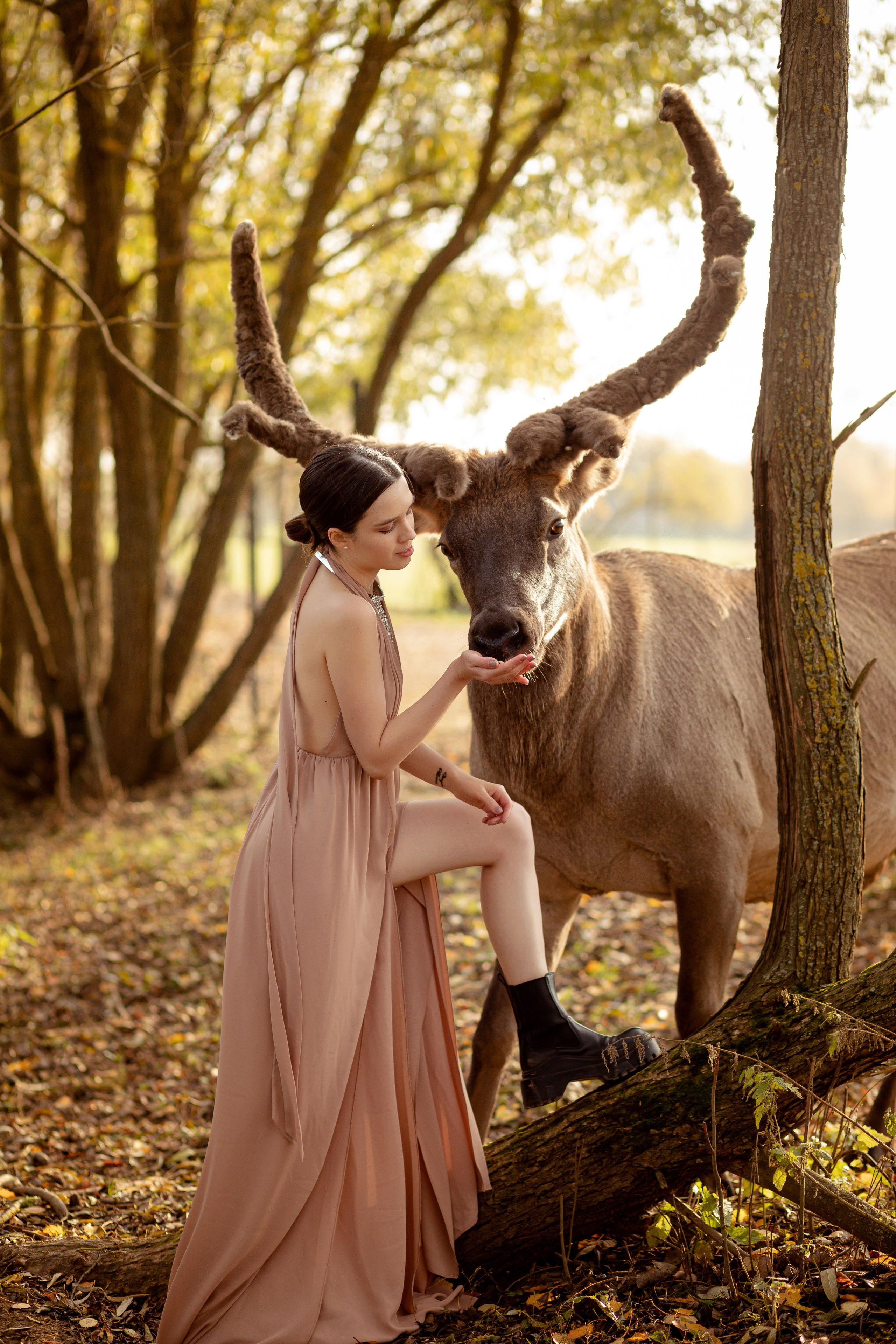 Девушка в длинном бежевом платье кормит с руки оленя.
