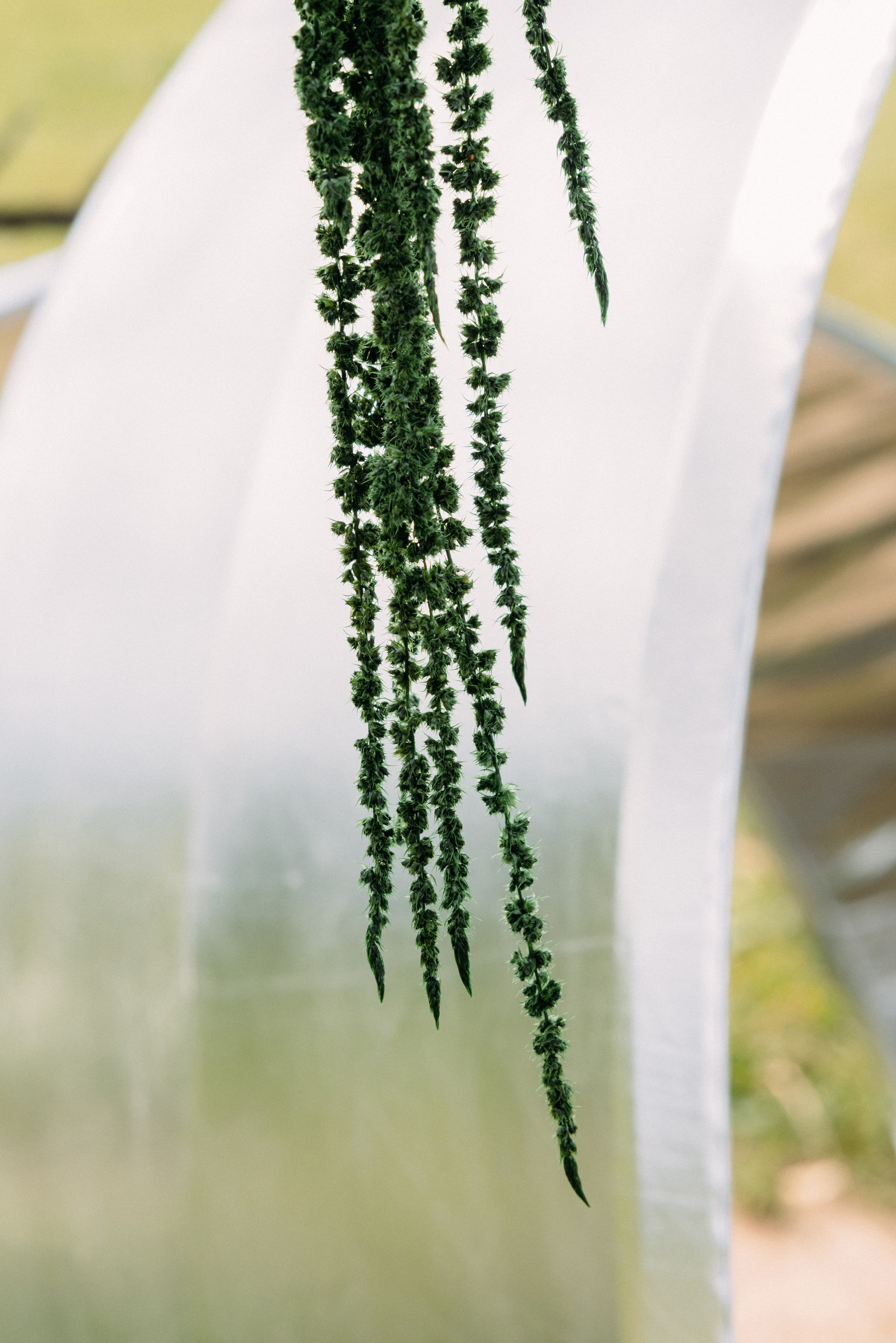 @avtors.agency. Свадебный и репортажный фотограф в Москве Владимир Сергеев | Naysaikolo