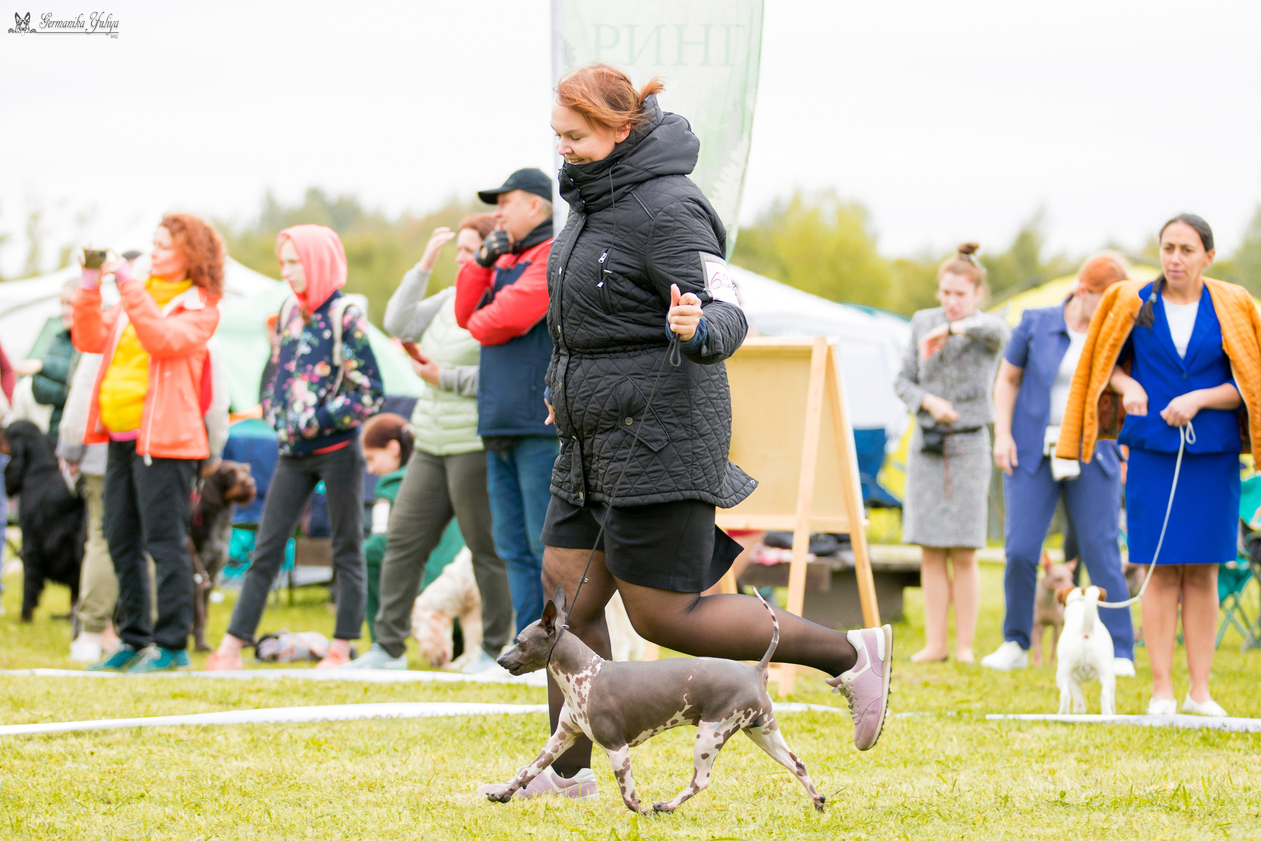 Переславль 9-10.09.2023. Фотограф-анималист Юлия Германика