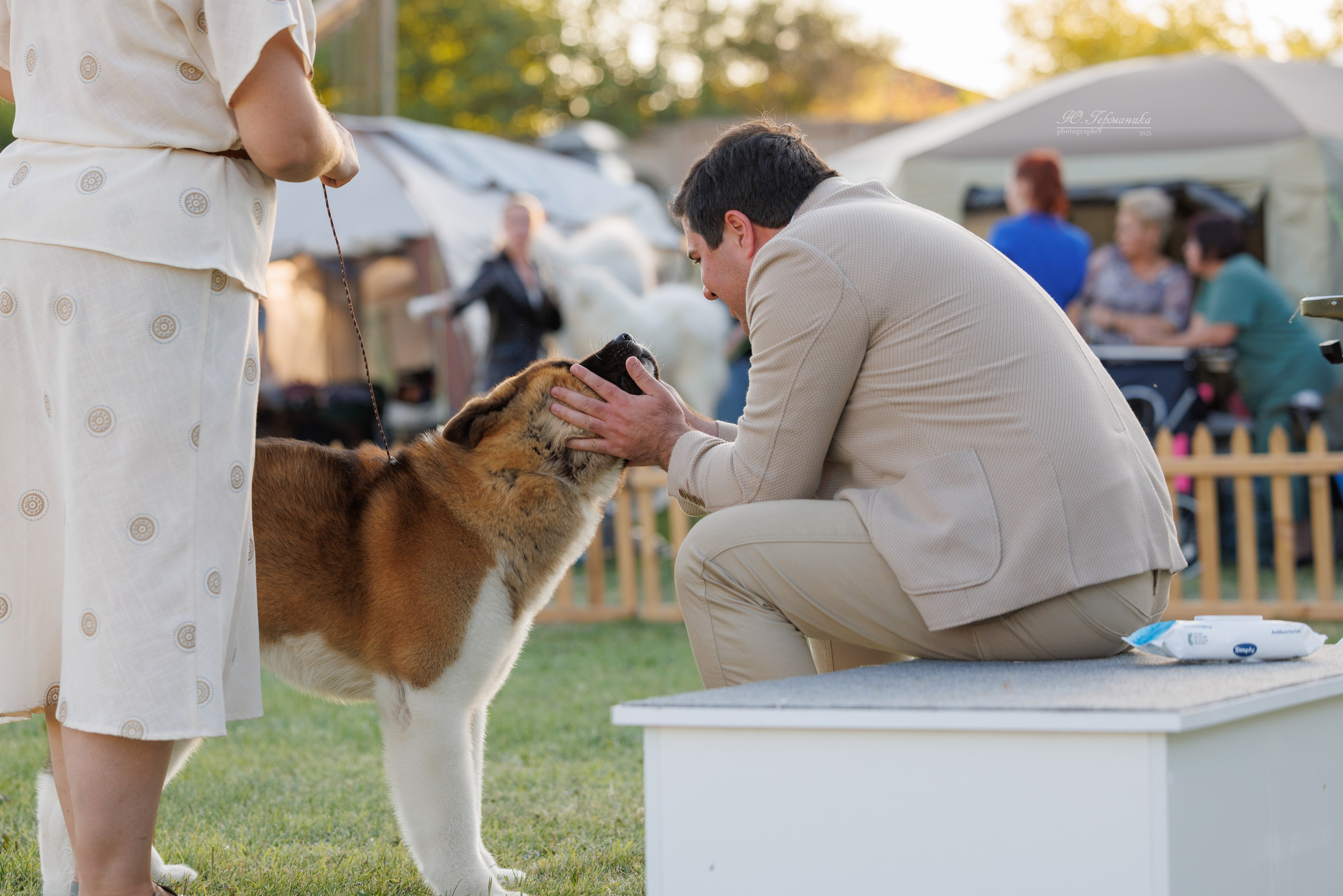 Ереван 3хCACIB 23-25.06.2025. Фотограф-анималист Юлия Германика