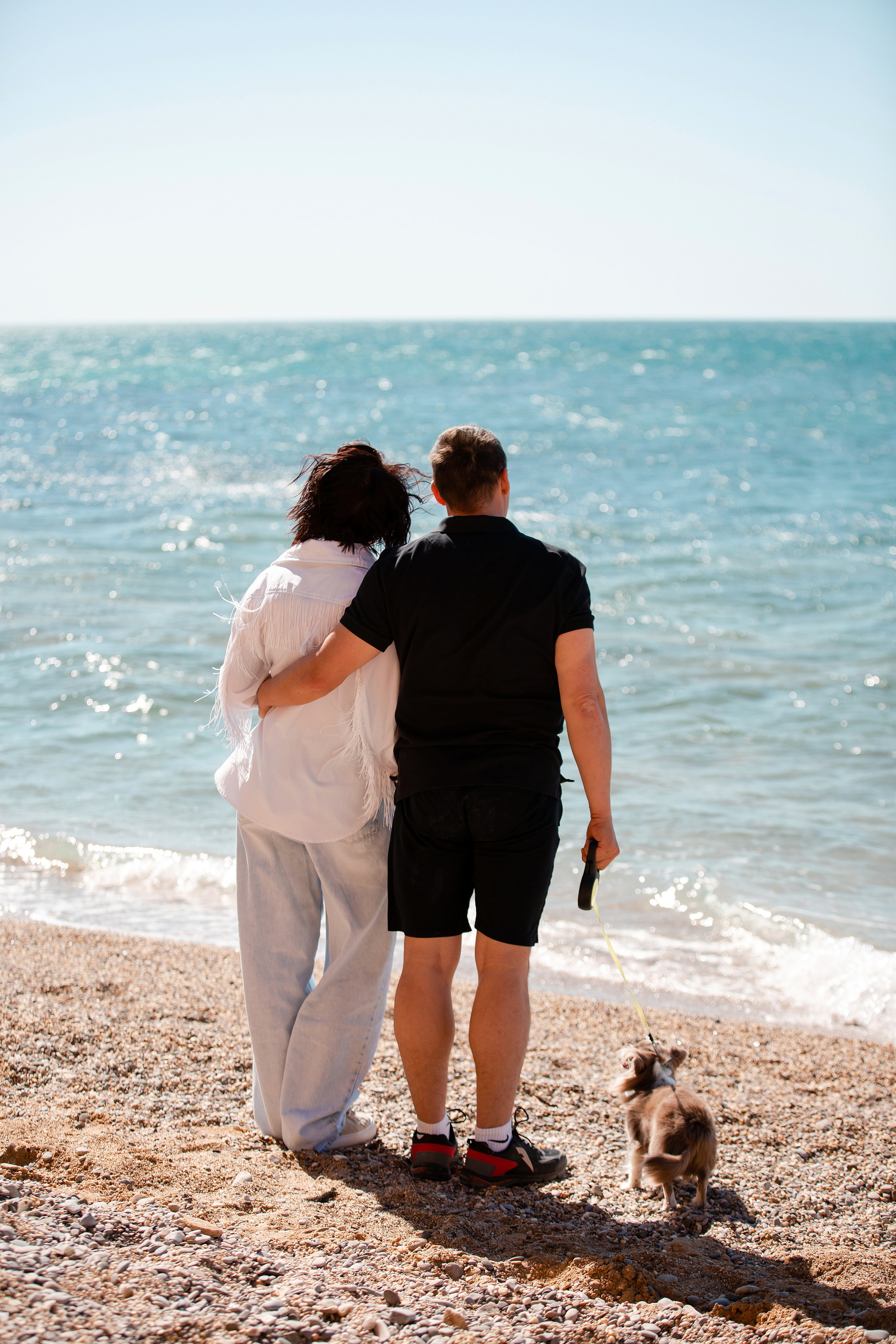 Веймаранер и чихуахуа в Крыму. Фотограф-анималист в Краснодаре Маша Мельникова