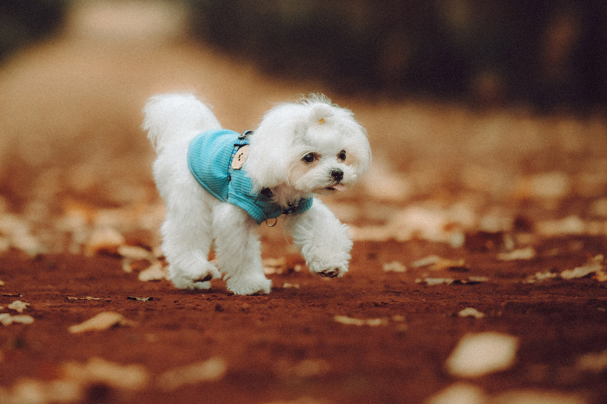 Настя и Гоша