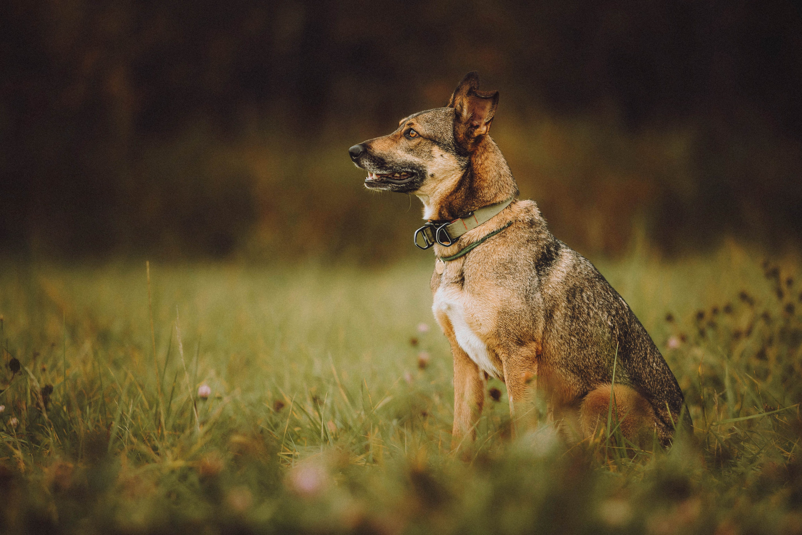 Аня, Нео и Луна