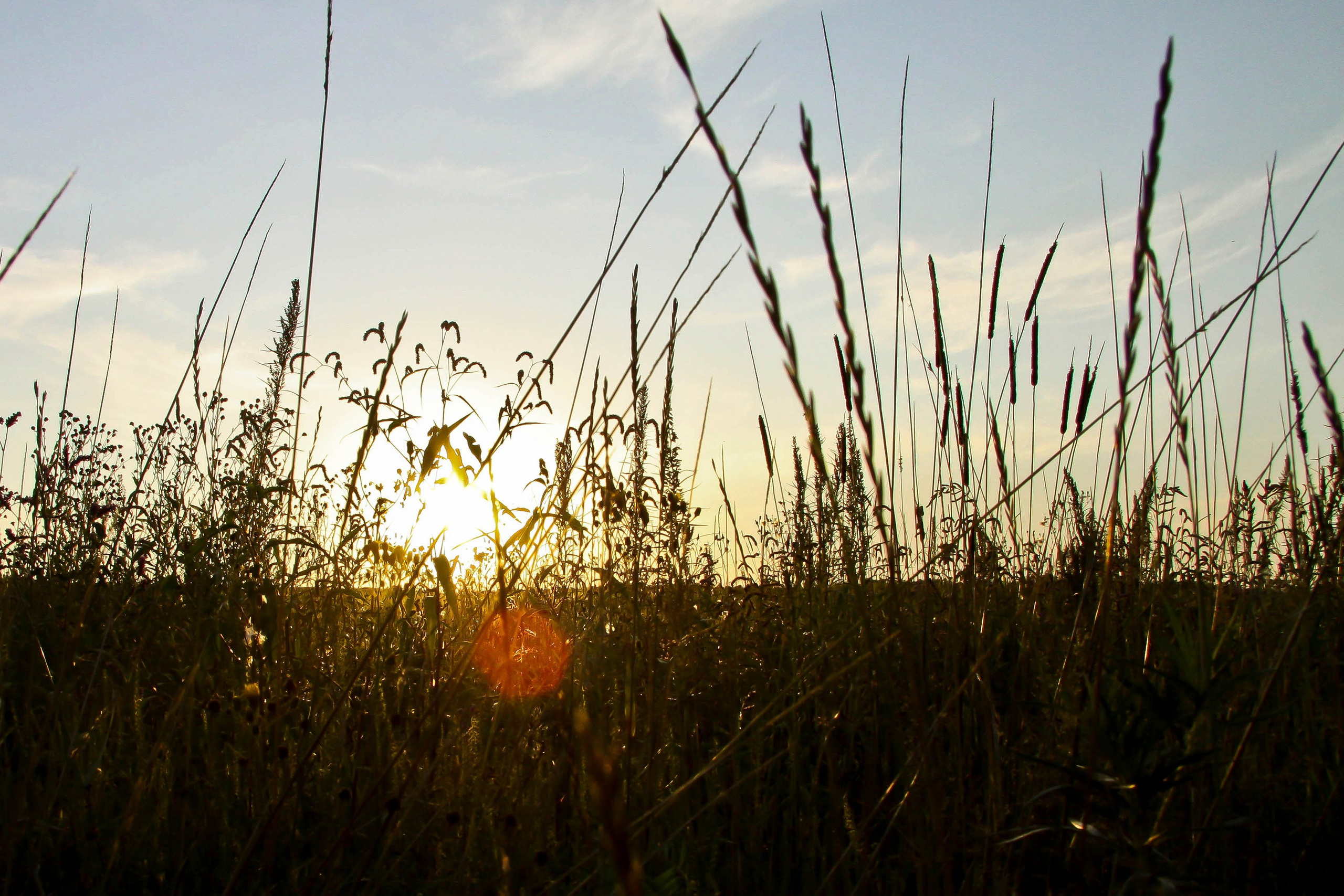 Природа. Команда фотографов Кристины Ивановой