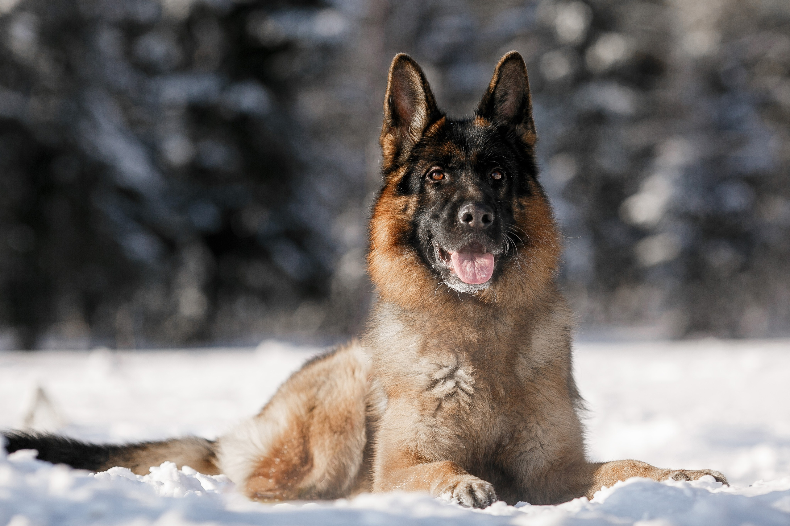 Репортажный фотограф Борис Геер
