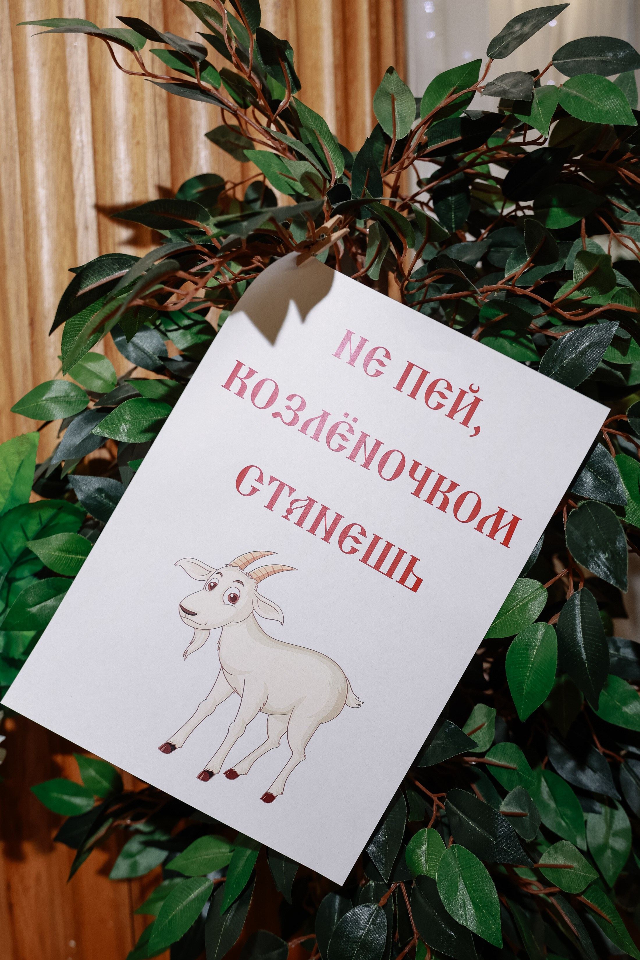 Юбилей в Прьмьер. Фотограф Юлия Мальцева
