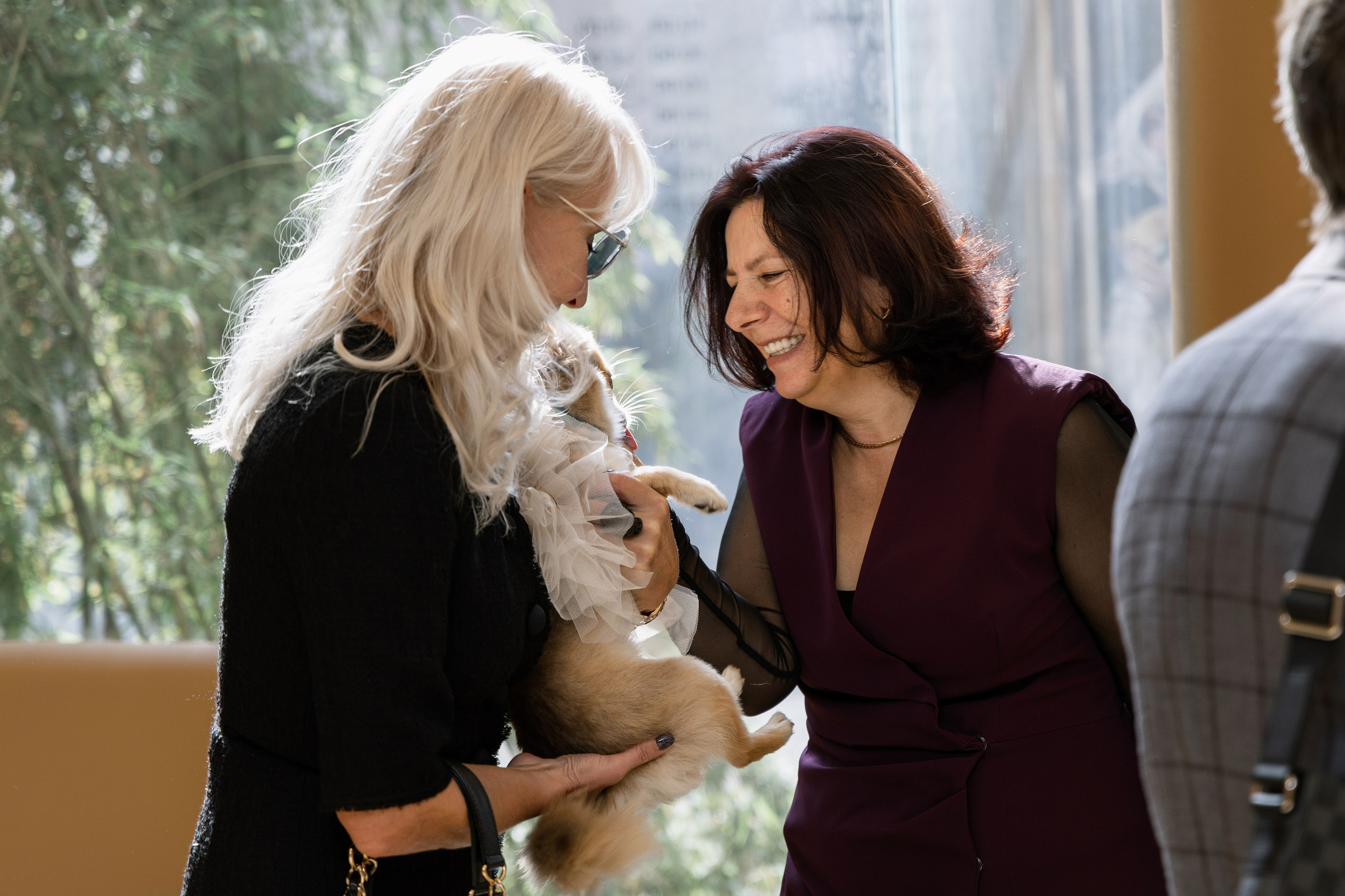 Свадебный фотограф в Москве. Свадебный фотограф и видеограф в Москве, Виктор Архилюк