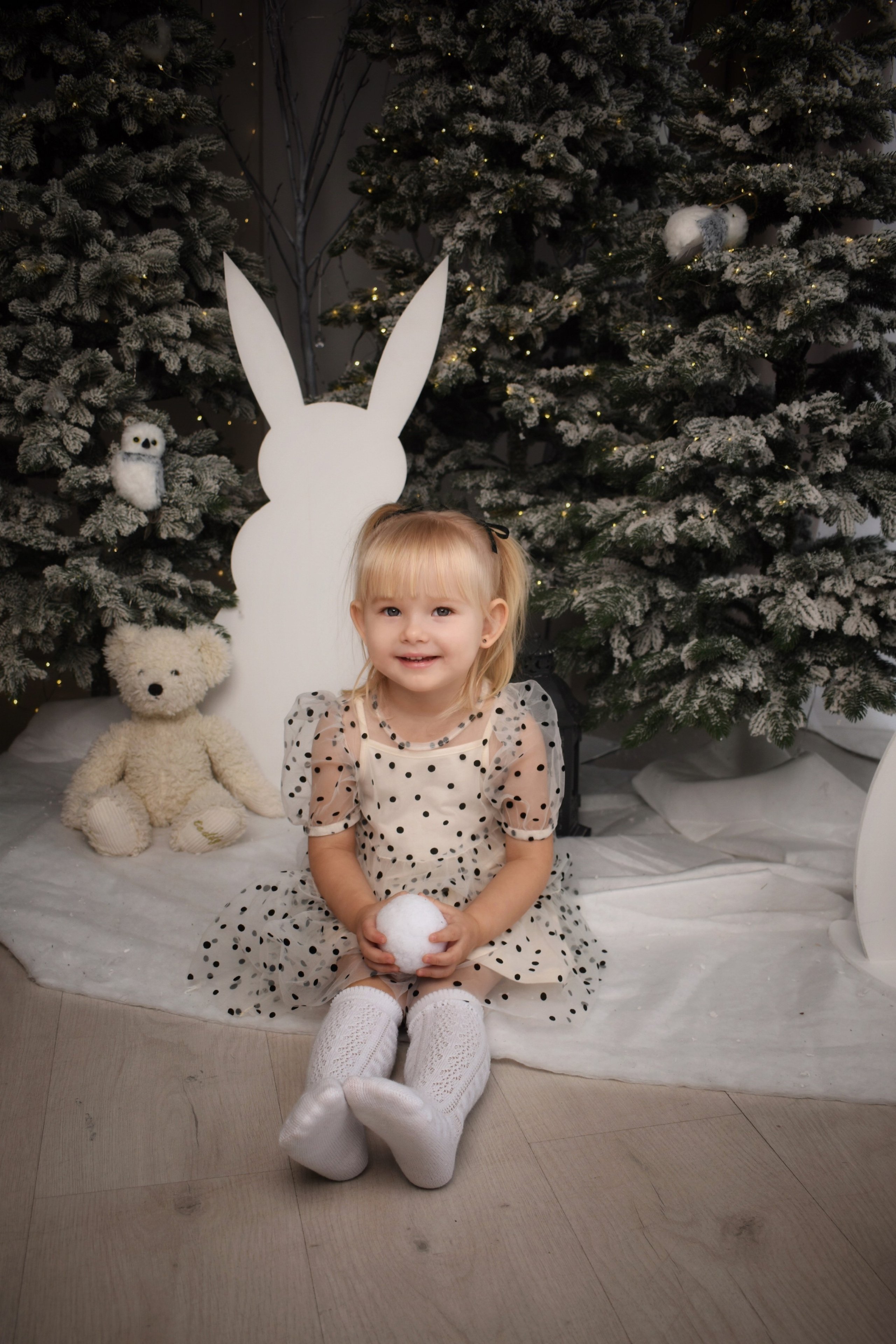 Новый Год. Семейный, детский и женский фотограф города Барнаул Кудаева Анастасия