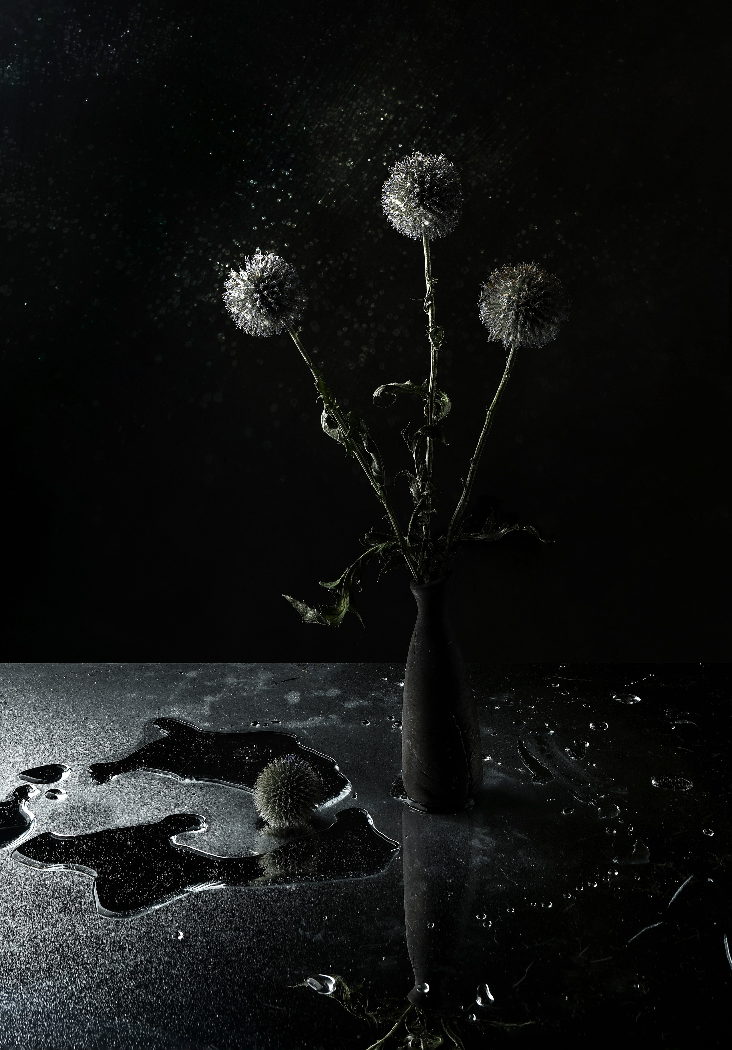 Интерьерные фотокартины. Фотограф Наталья Туева FineArt съёмка