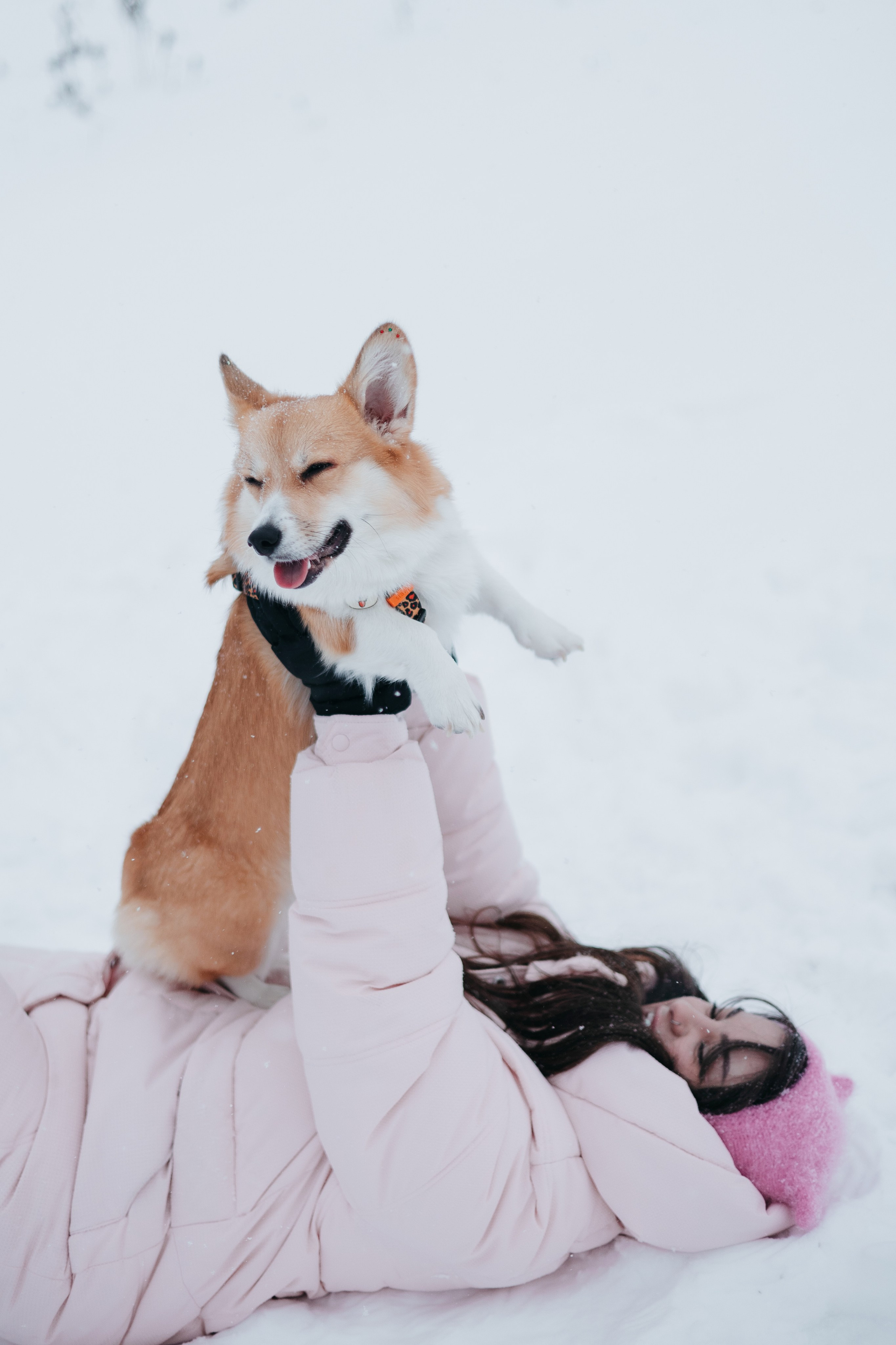 Лена, Лиза и Мия. Фотограф — анималист Владивосток, Алина
