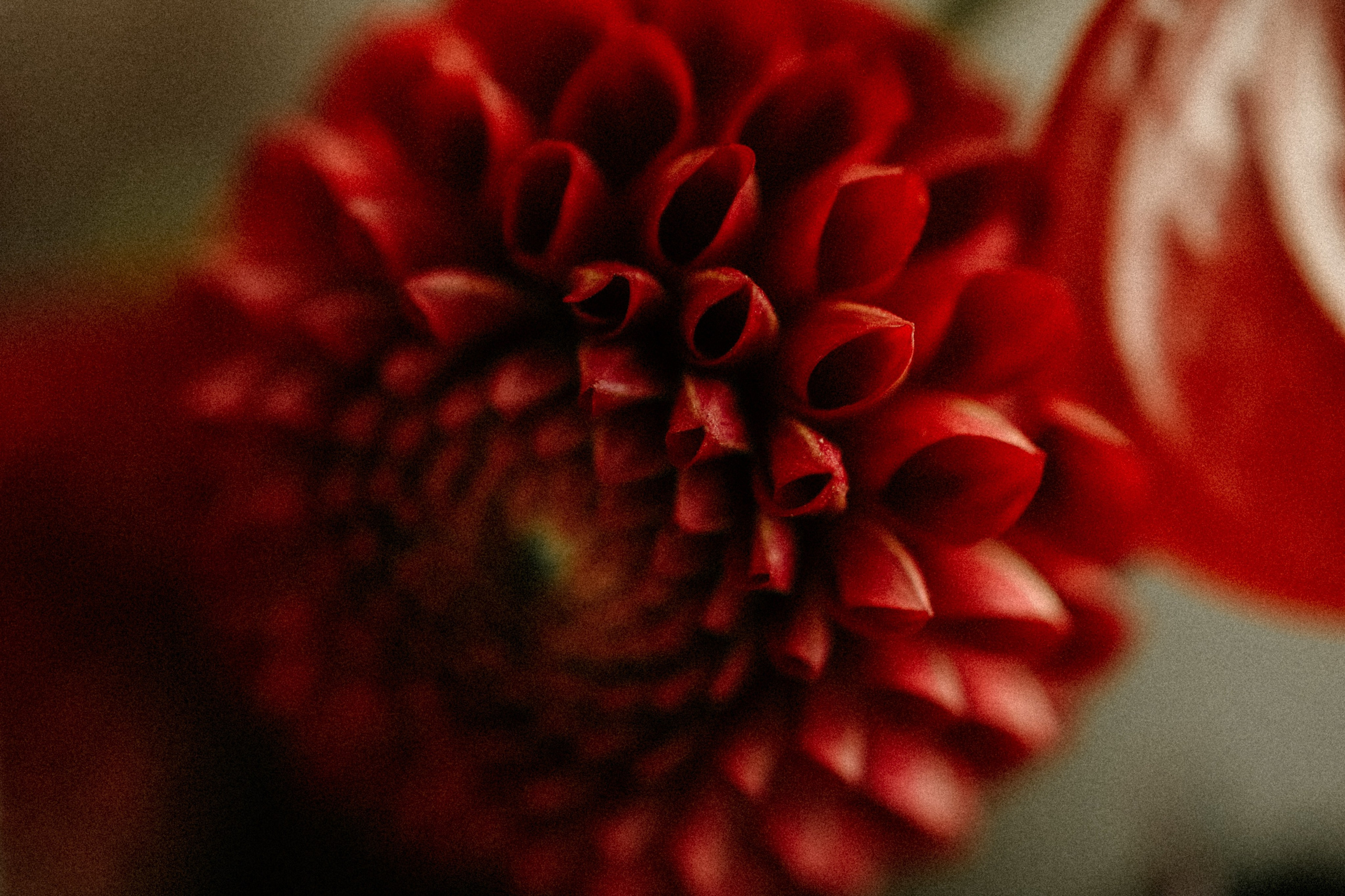 Георгий и Татьяна. Фотограф в Екатеринбурге Андрей Медведко