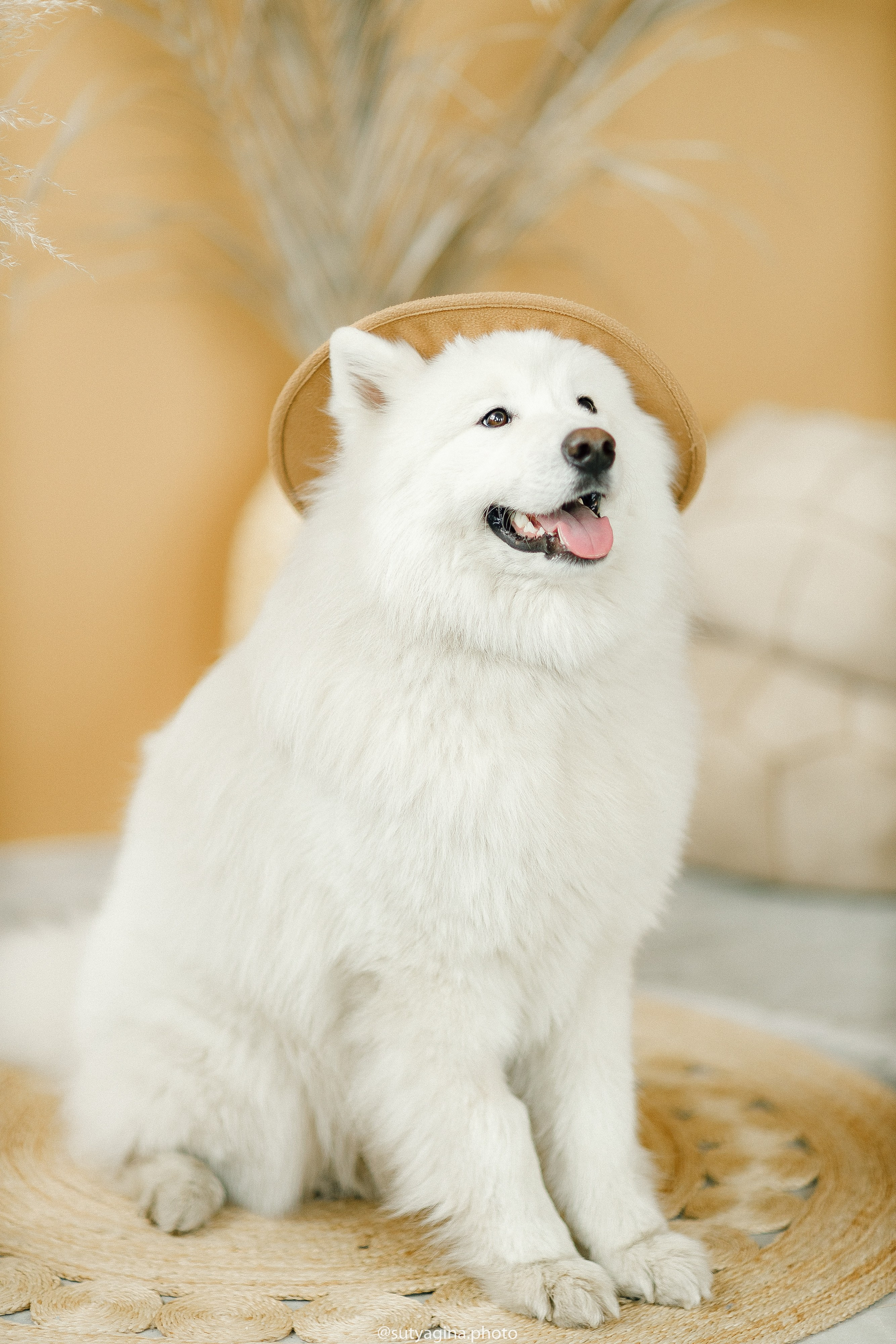 Самоед Мартин. Свадебный и женский фотограф