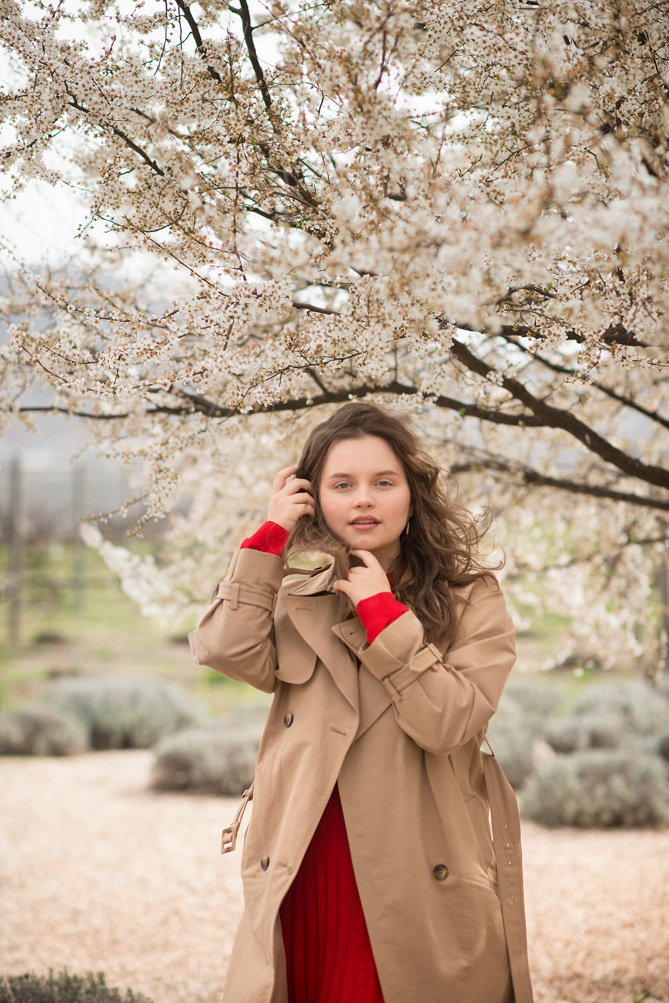 В цветущем миндале. Семейный и детский фотограф в Севастополе. Семейный фотограф в Ялте