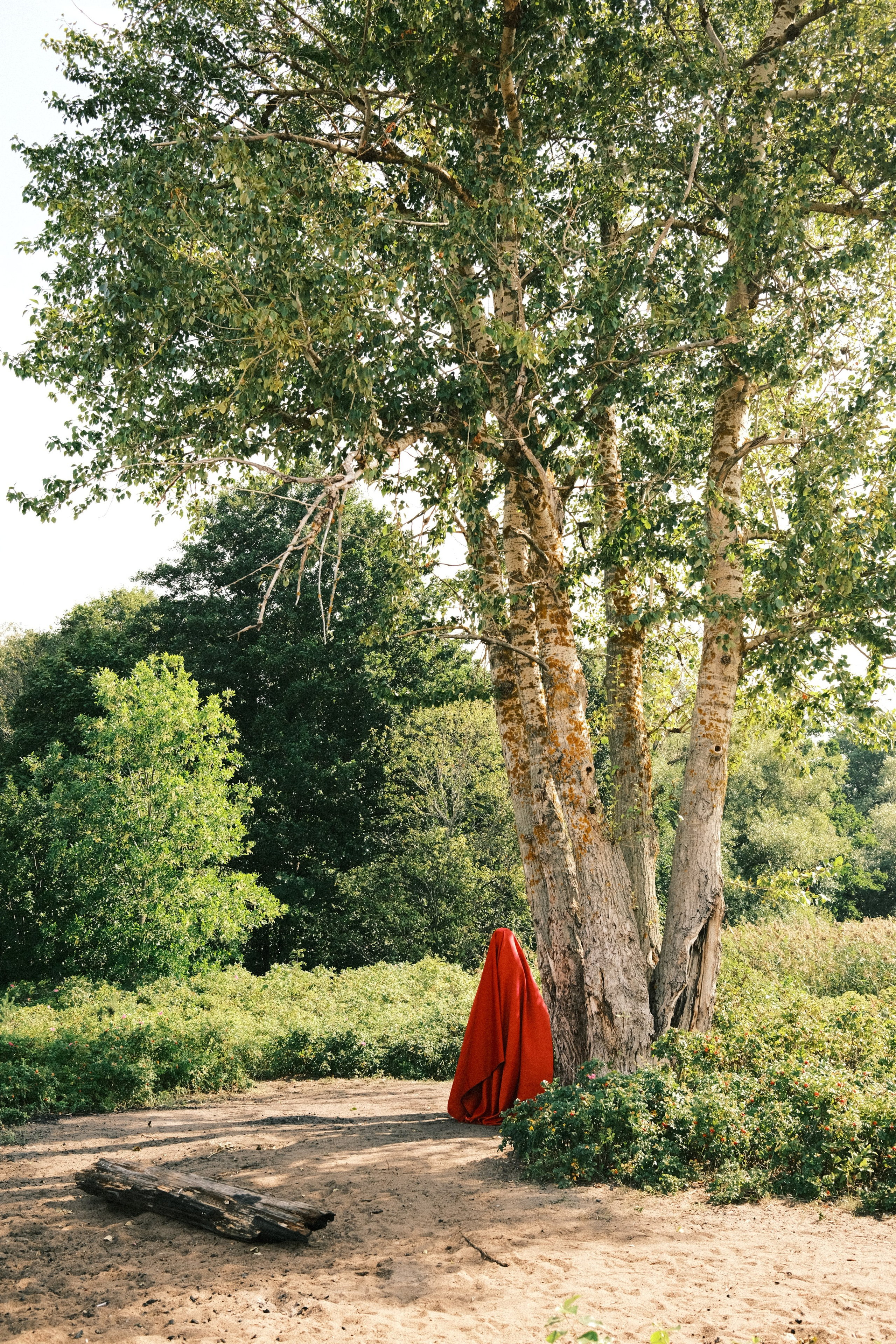 Ана 2. Портретный фотограф