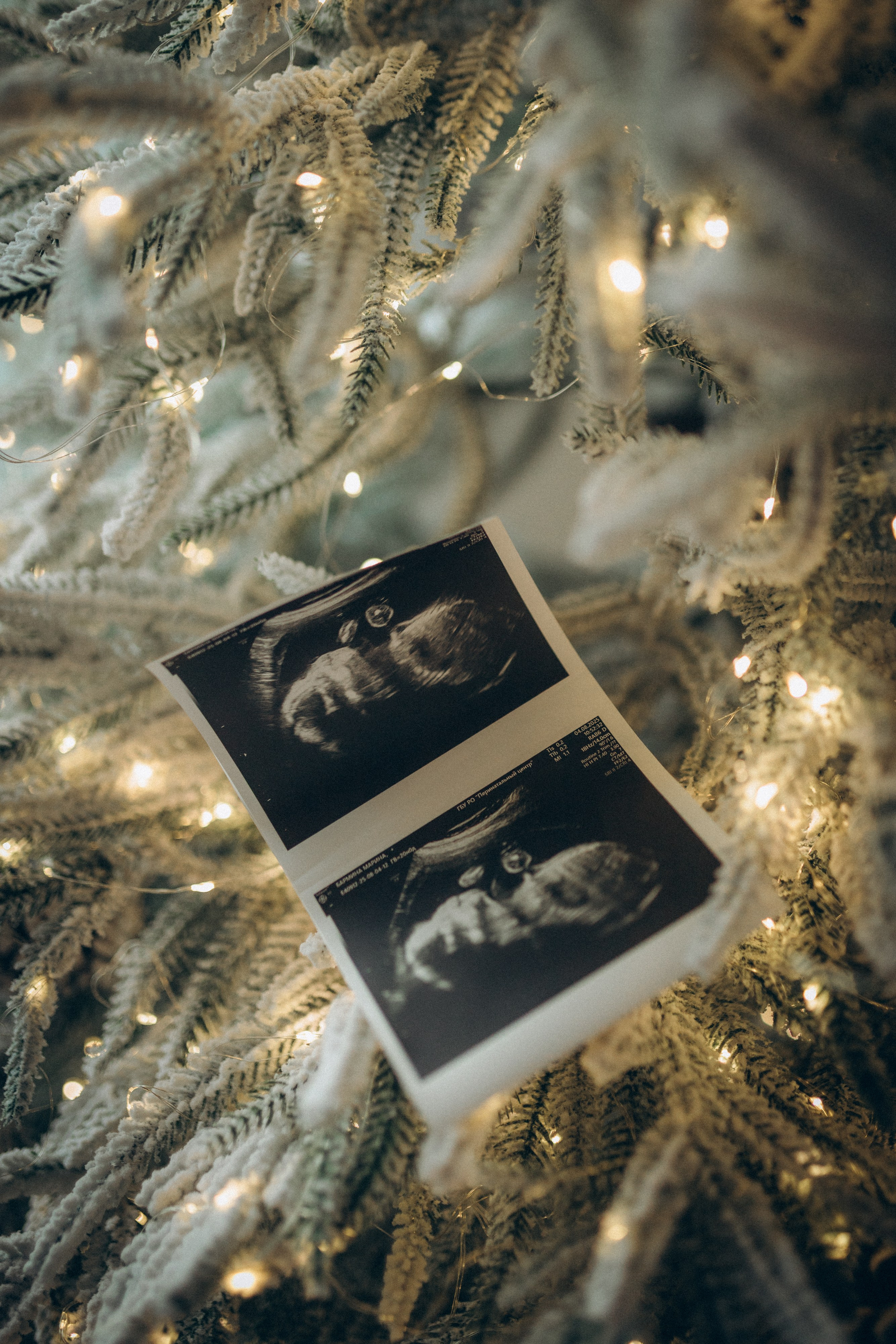 Family story. Семейный фотограф и фотограф на роды в Ростове-на-Дону Мухина Виктория