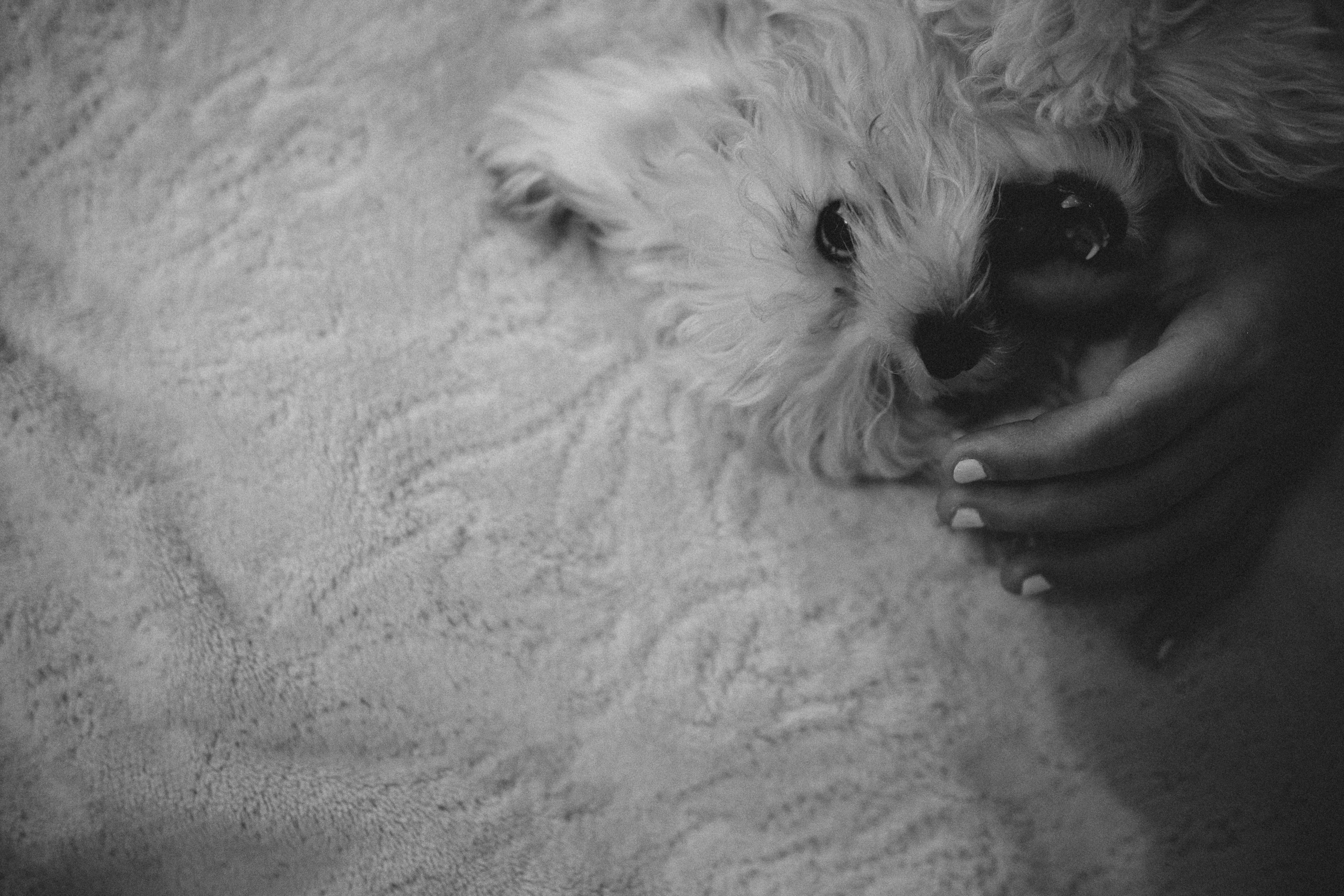 Юлия&Никита. Свадебный и Love story фотограф Никита Хуска город Пермь