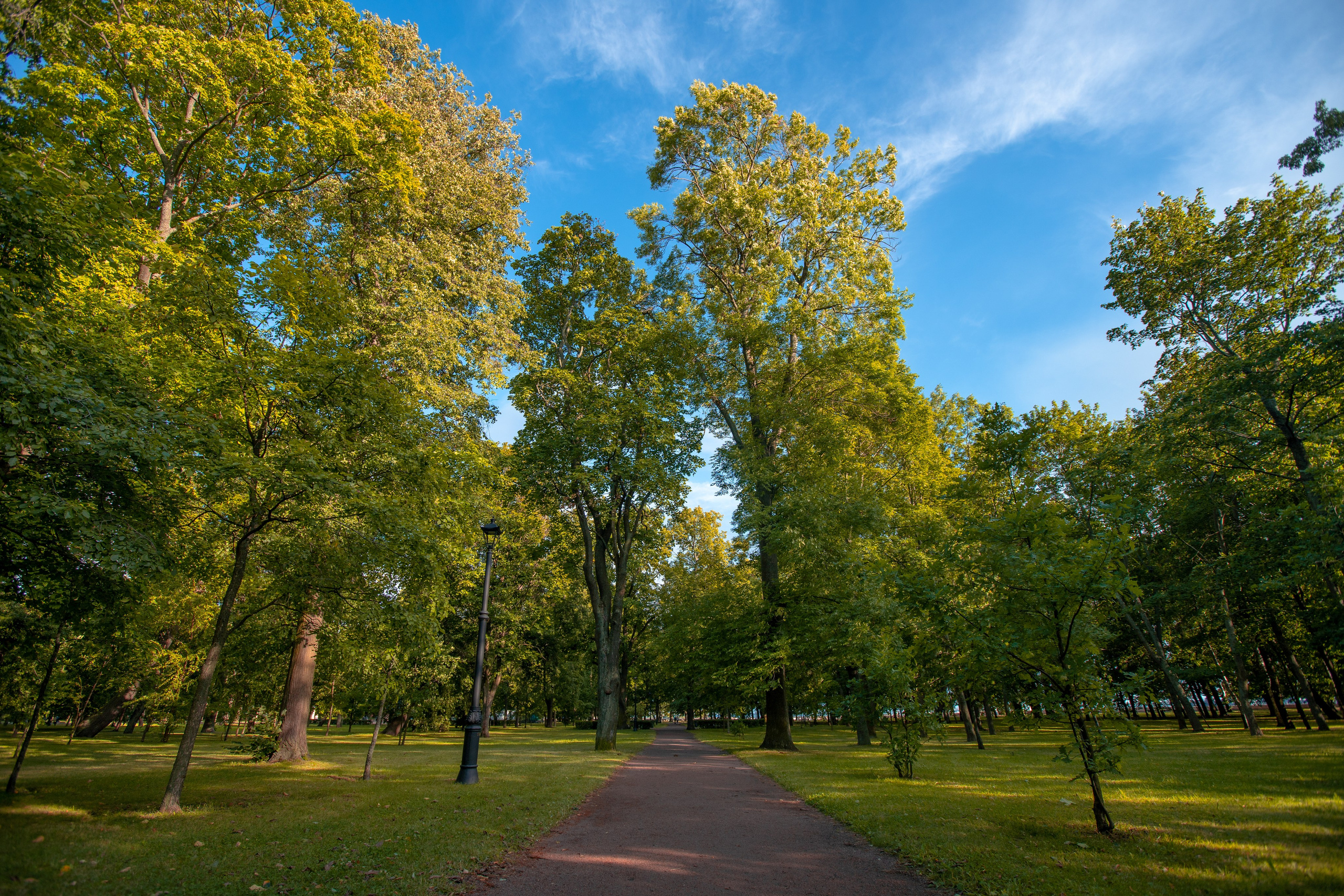 ЦВЕТНЫЕ ФОТОГРАФИИ. Никита Аничкин фото и видео оператор из России