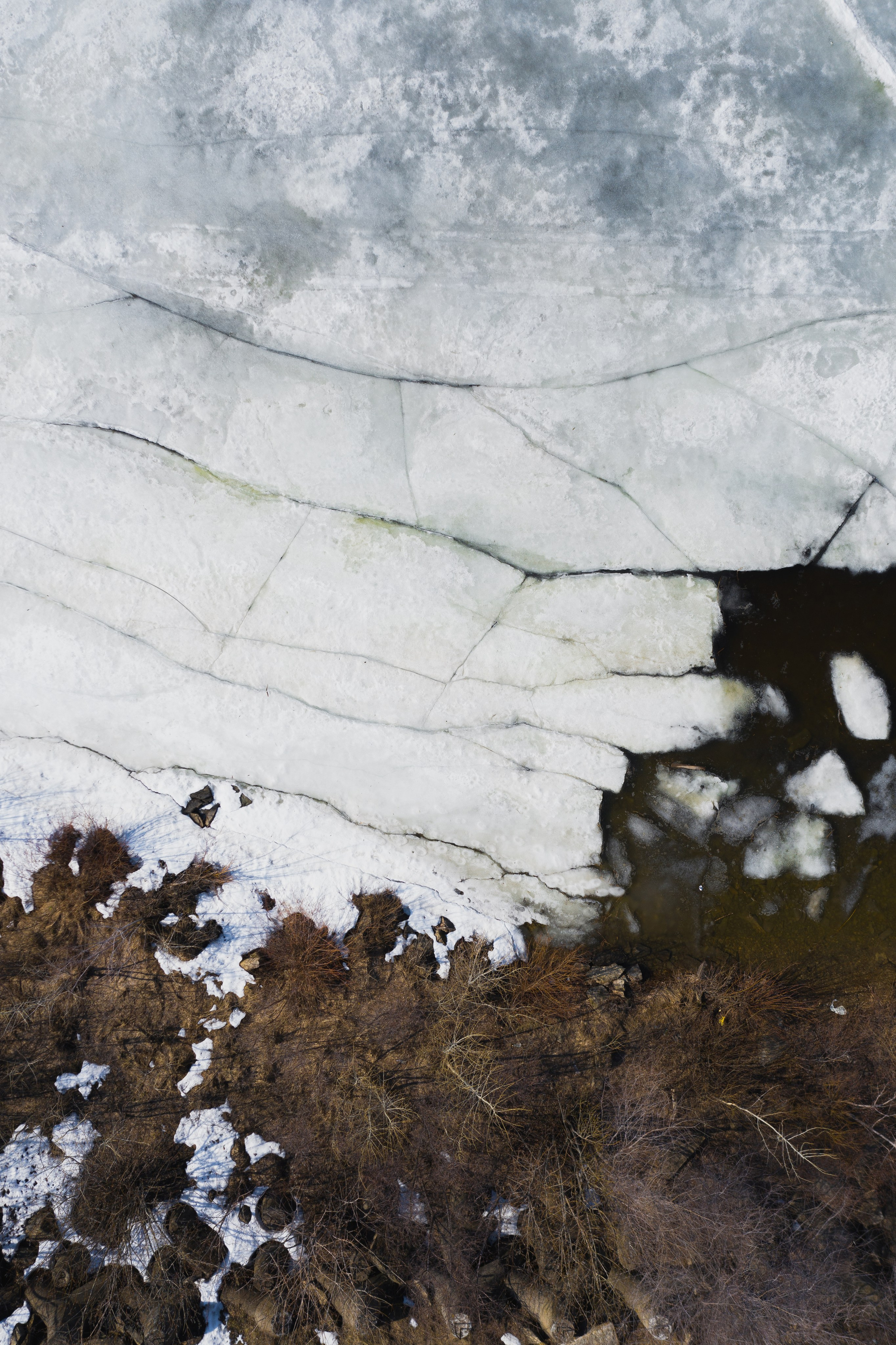 ЦВЕТНЫЕ ФОТОГРАФИИ. Никита Аничкин фото и видео оператор из России