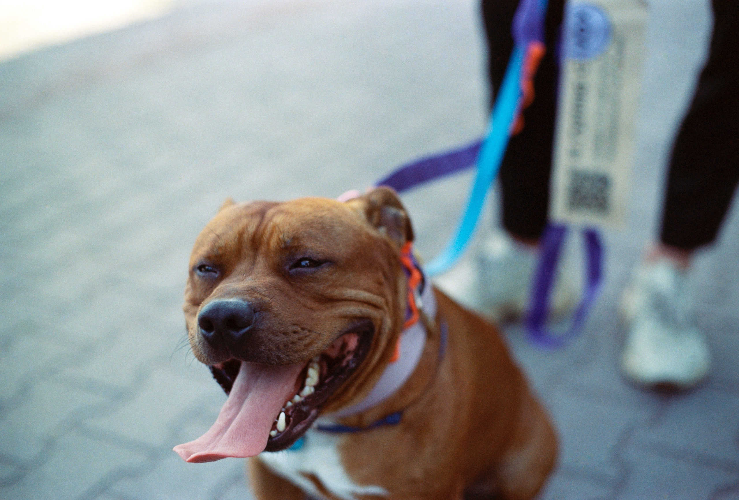 VOX. Стилист и плёночный фотограф Анастасия Шлокова в Санкт-Петербурге и Москве