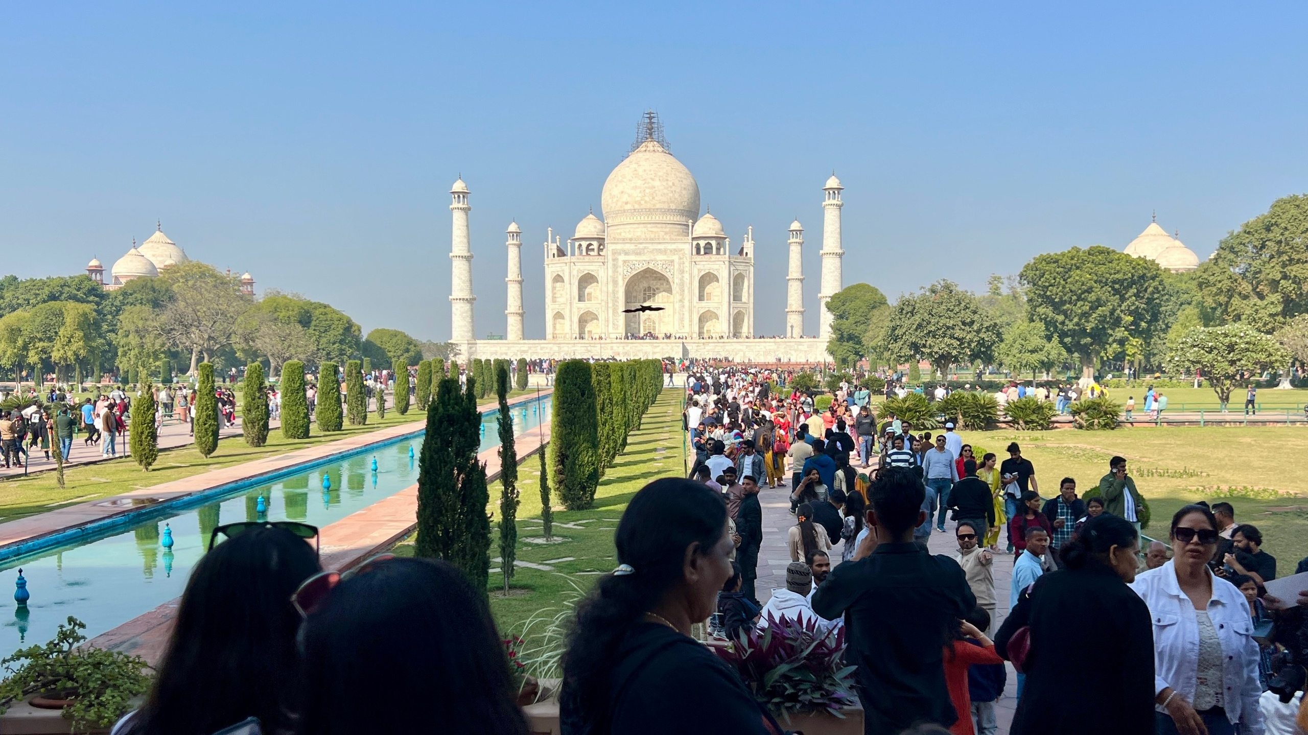 Индия. Телеоператор Ильнур Таминдаров — видеосъемка, документальные фильмы, интервью в Москве