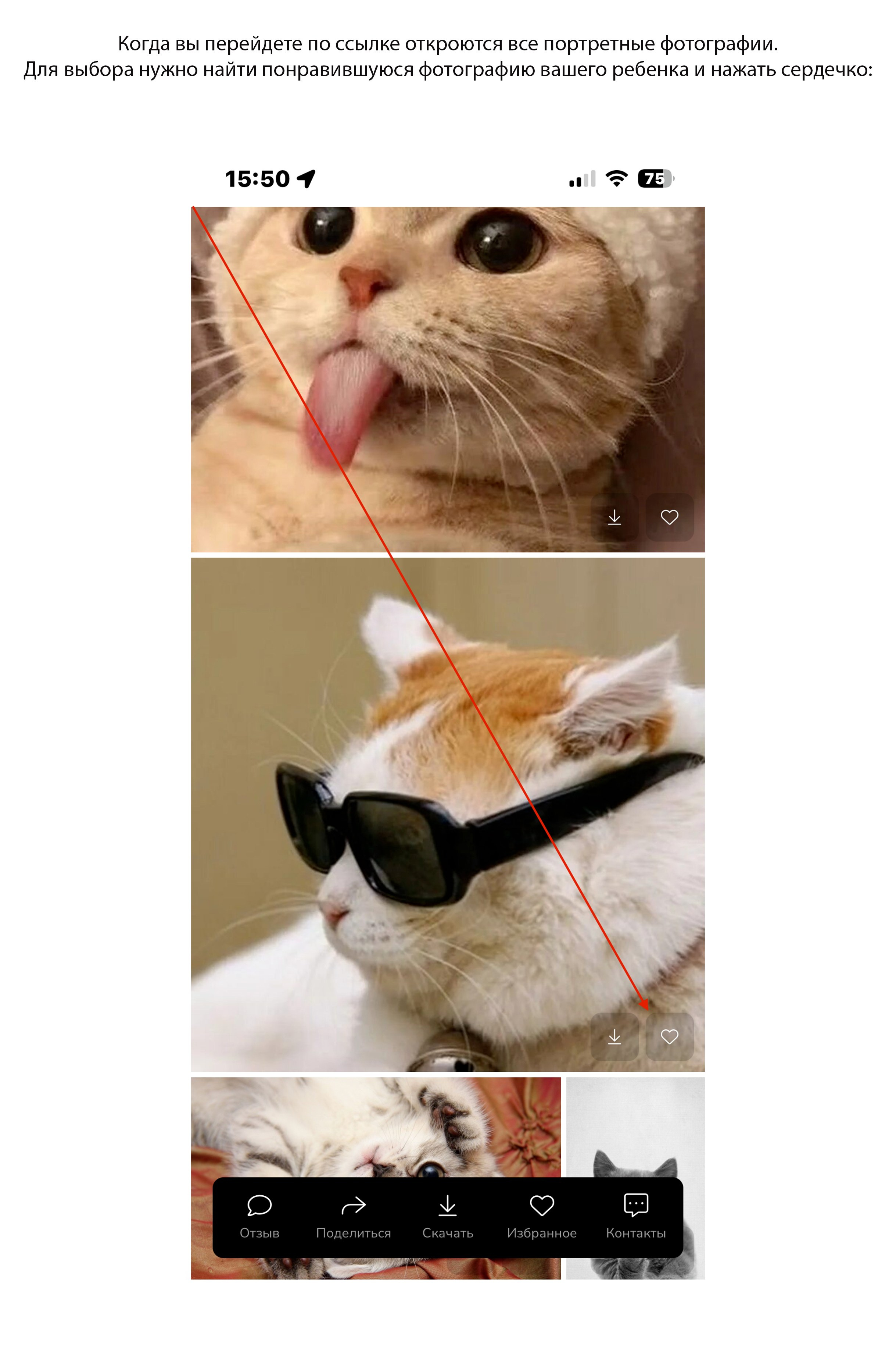 Инструкция по выбору фото. Фотограф в Ставрополе Рустам Рахимов