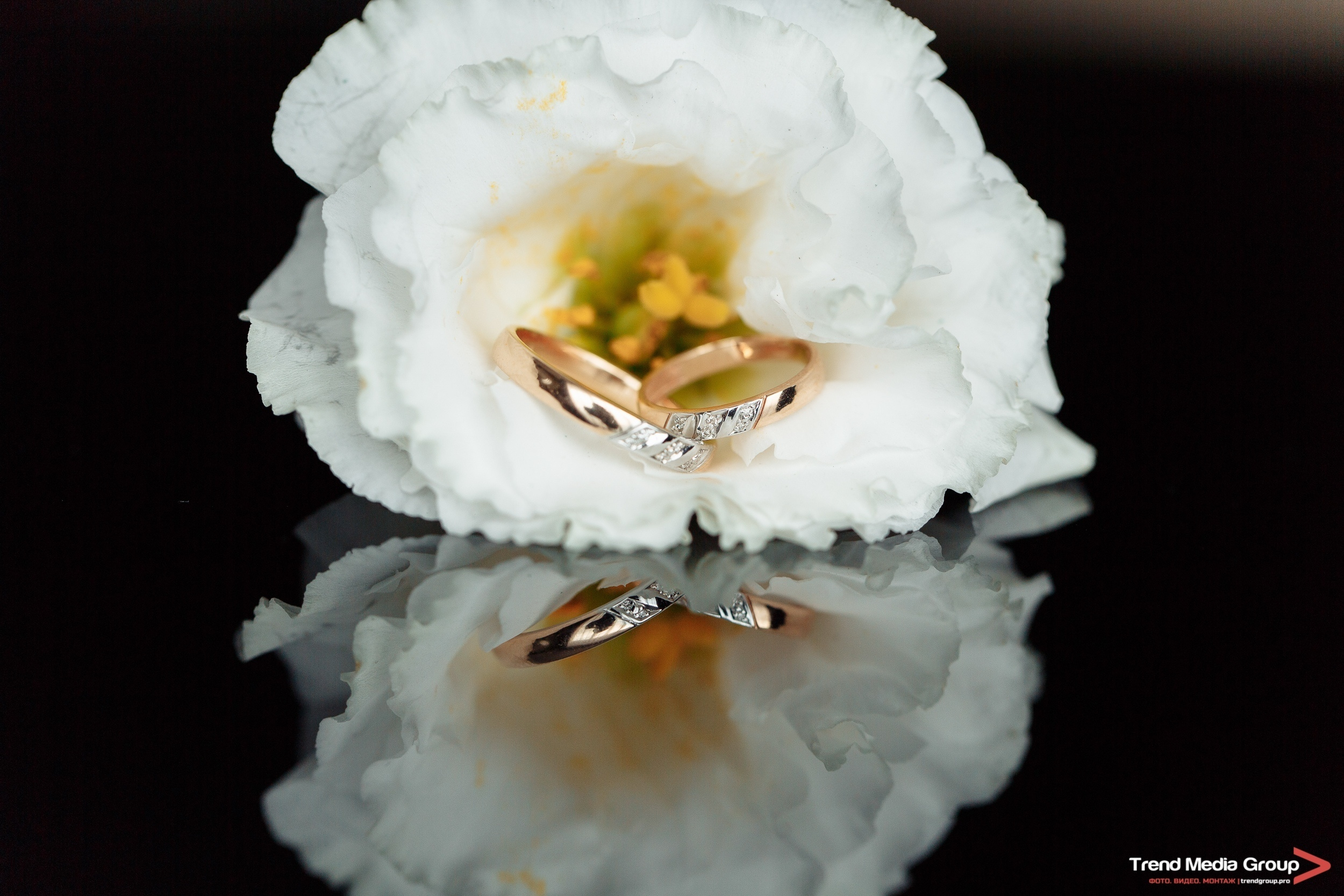 Цены: Пакеты на свадебную съемку. Фотограф Станислав Петров. Trend Media Group